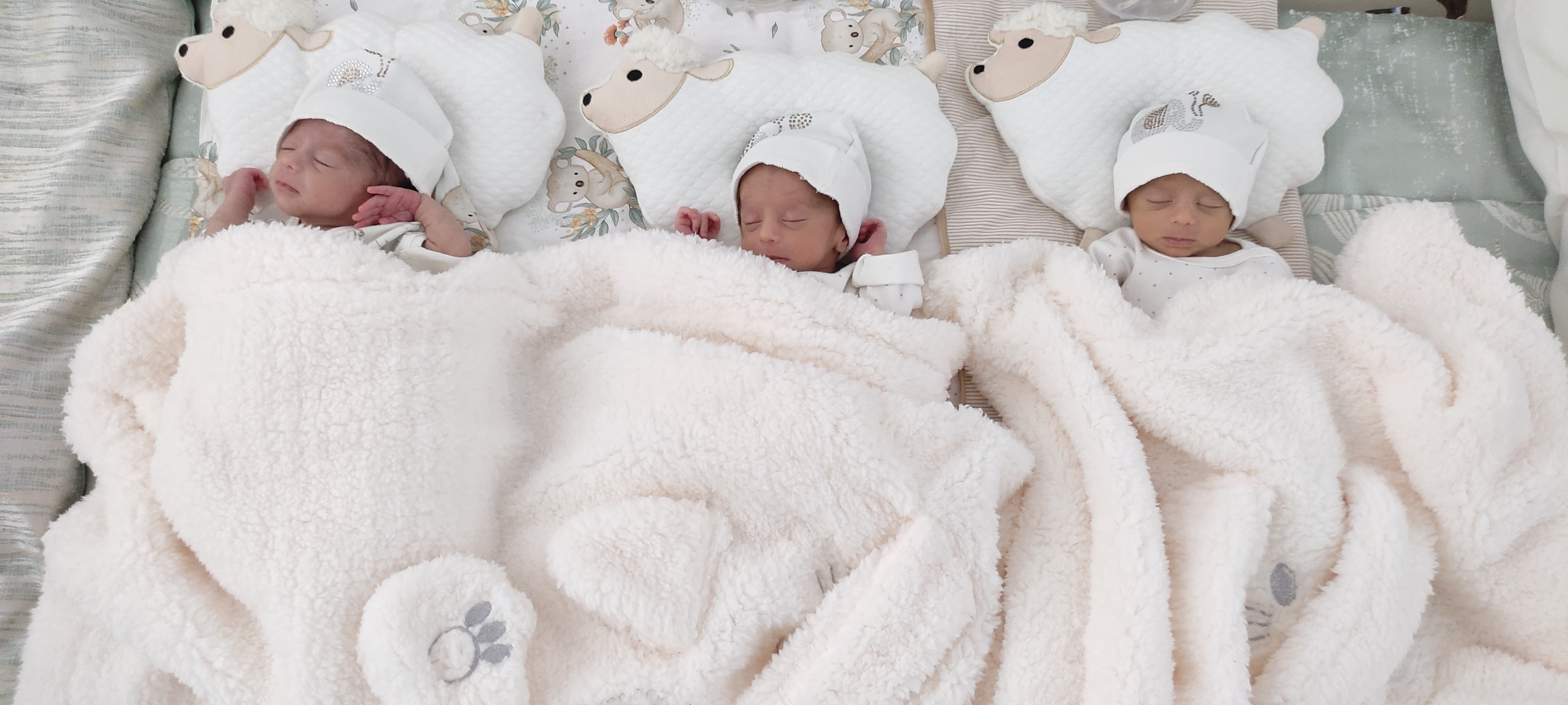 یاسین شریف عسکری