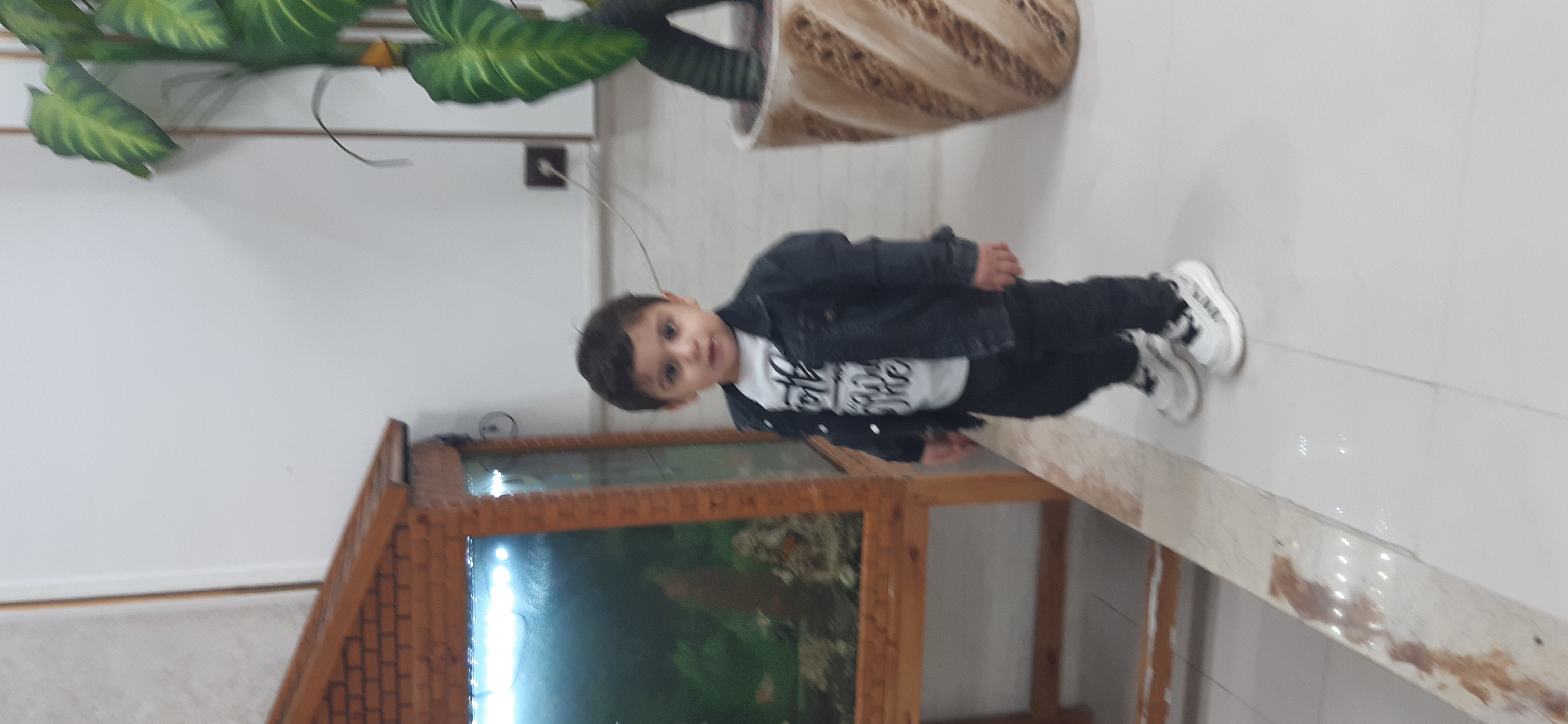 مهدیار هادی نژاد کریمی