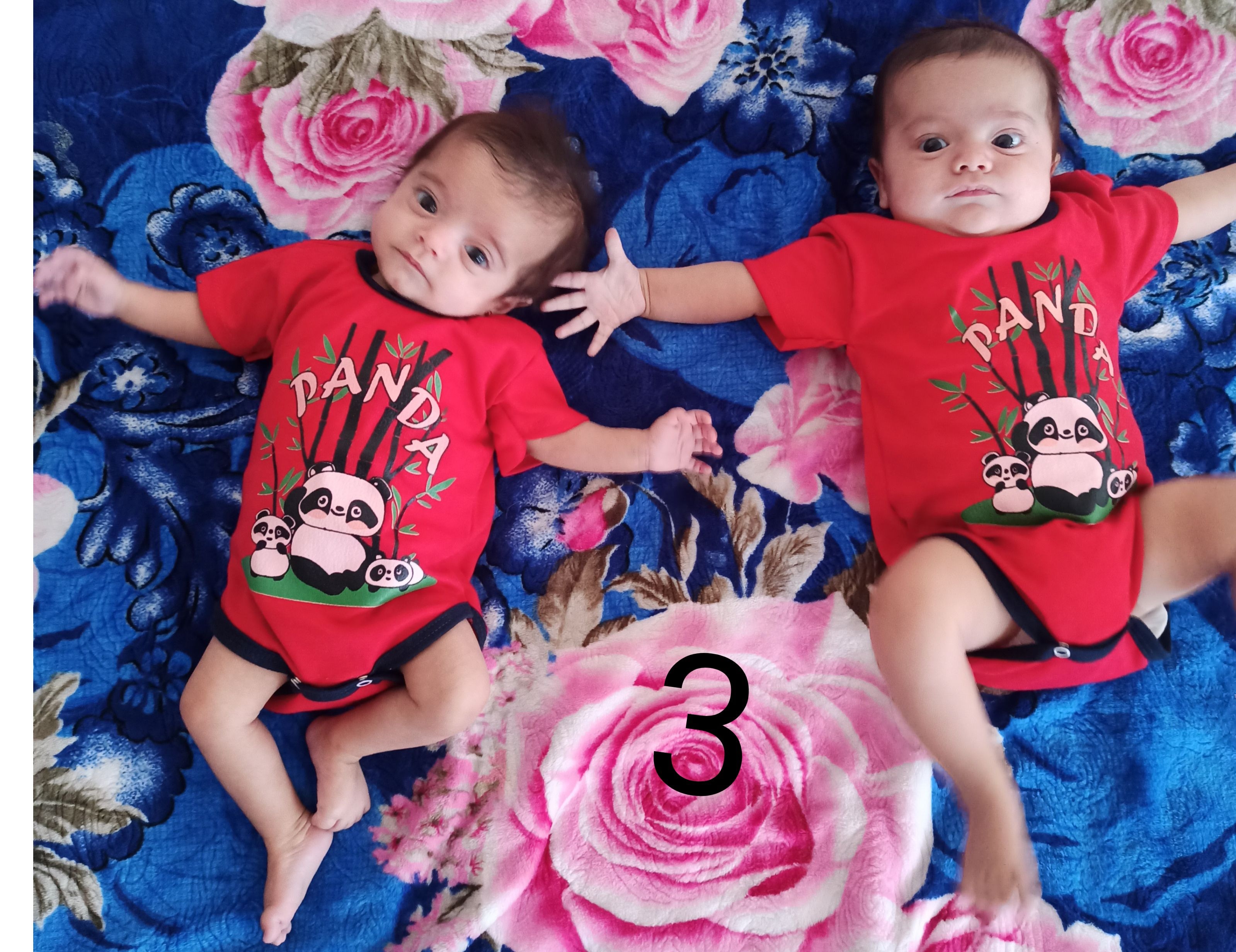 رادوین حاتمی