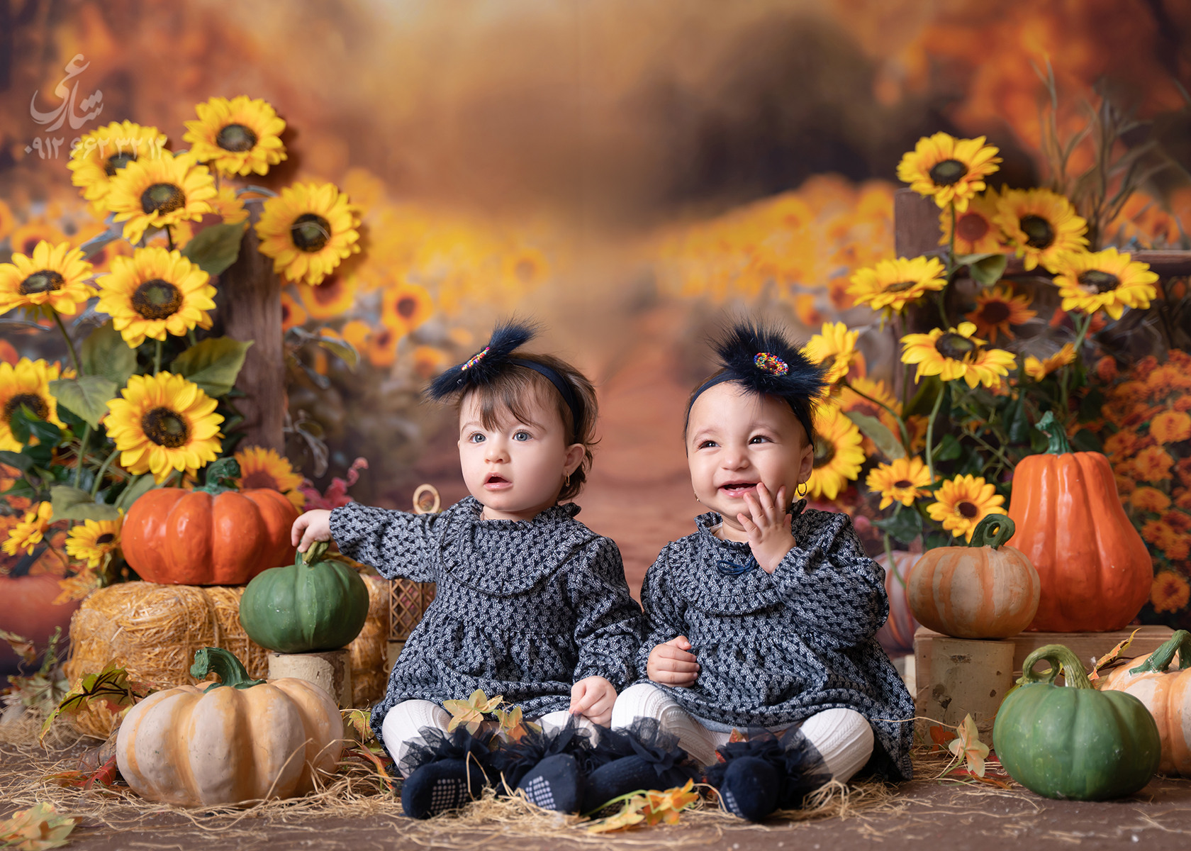 تاجر علیزاده 