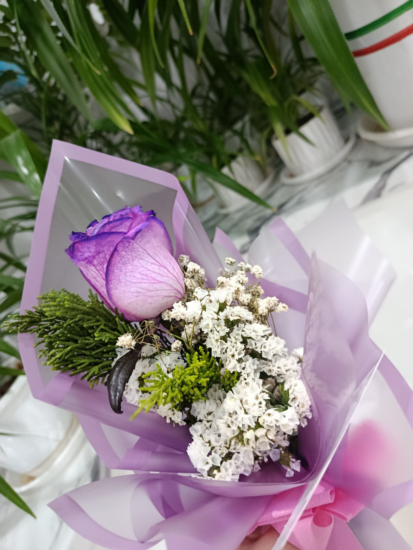 رژین حسنوند
