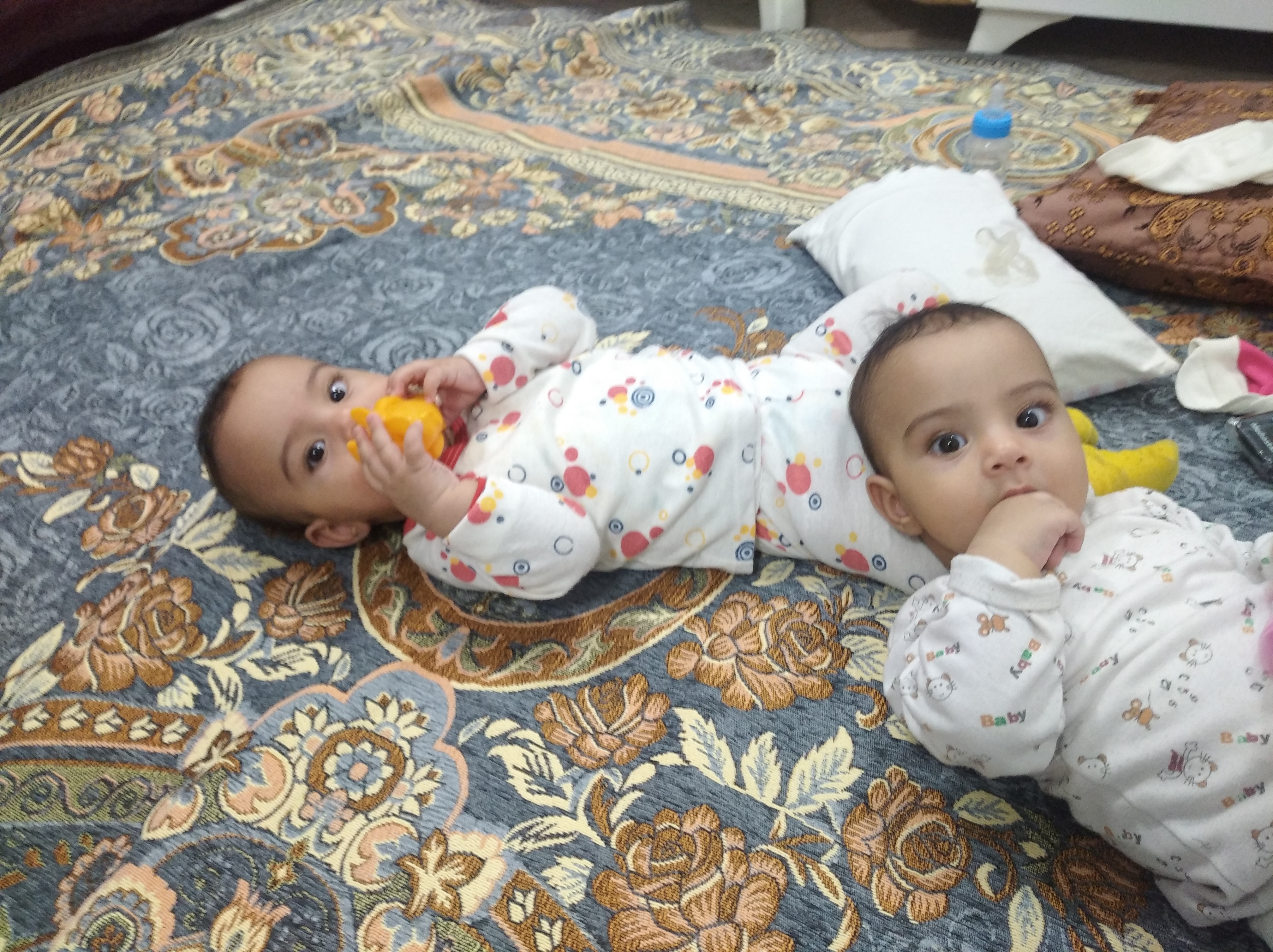 چاوین  یوسفی 