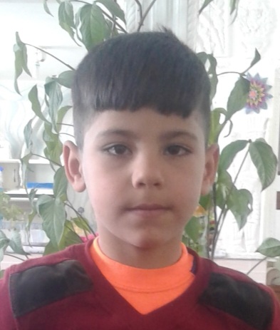 ابوالفضل گشول