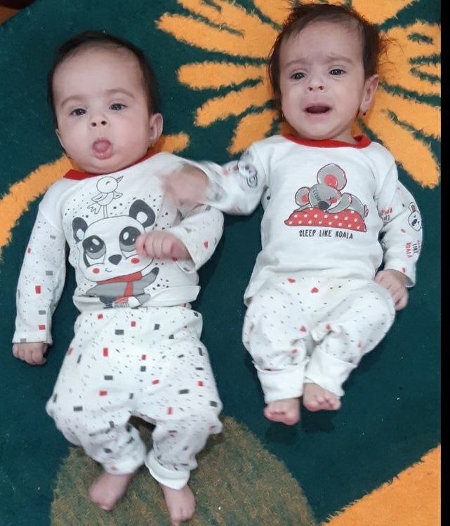 ریحانه  شابثی