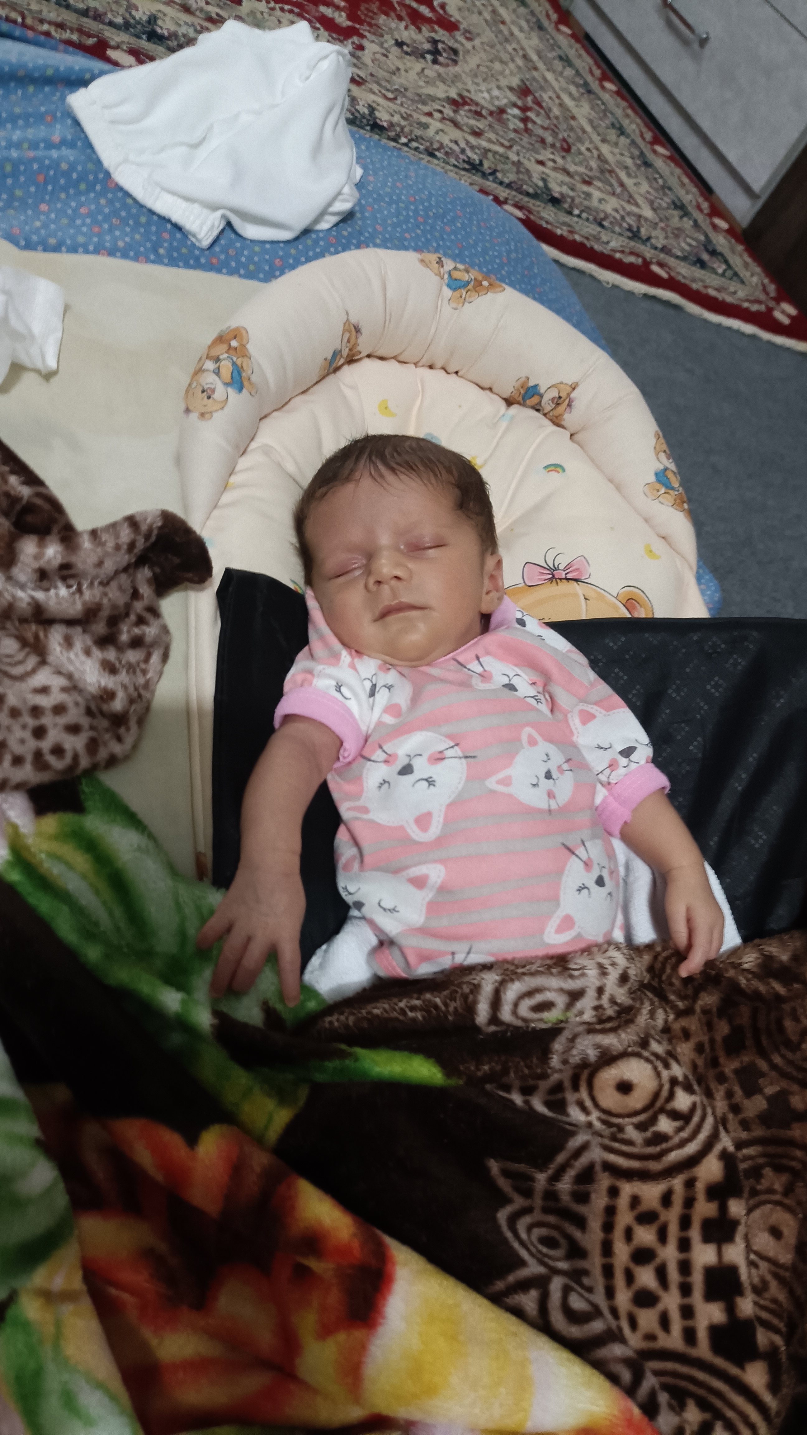 آریانا  مصطفایی 