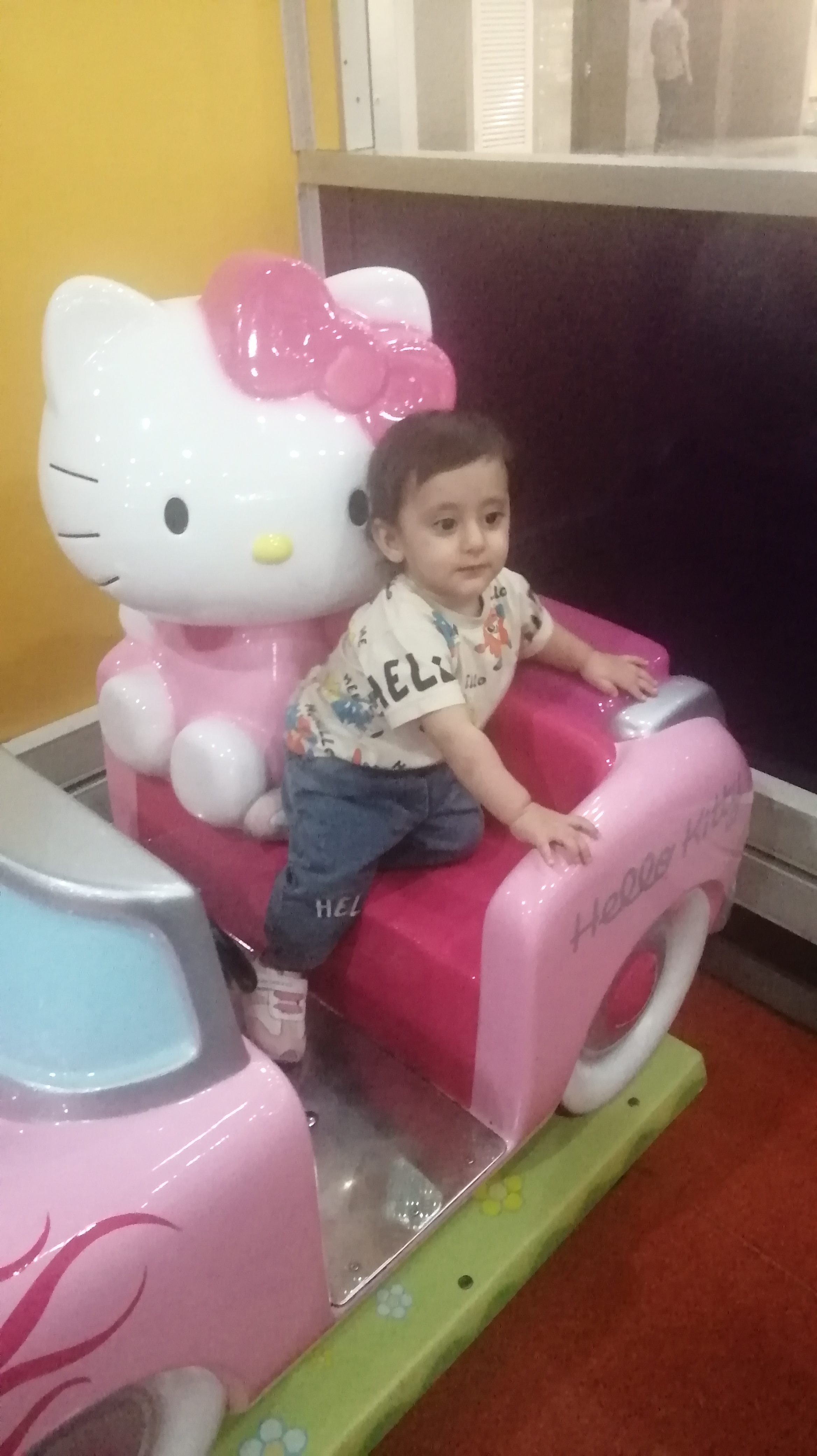 فاطمه حلما امینی