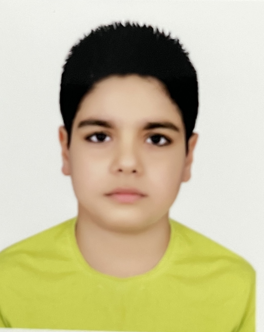 امیر حسین کورکی نژاد قرائی