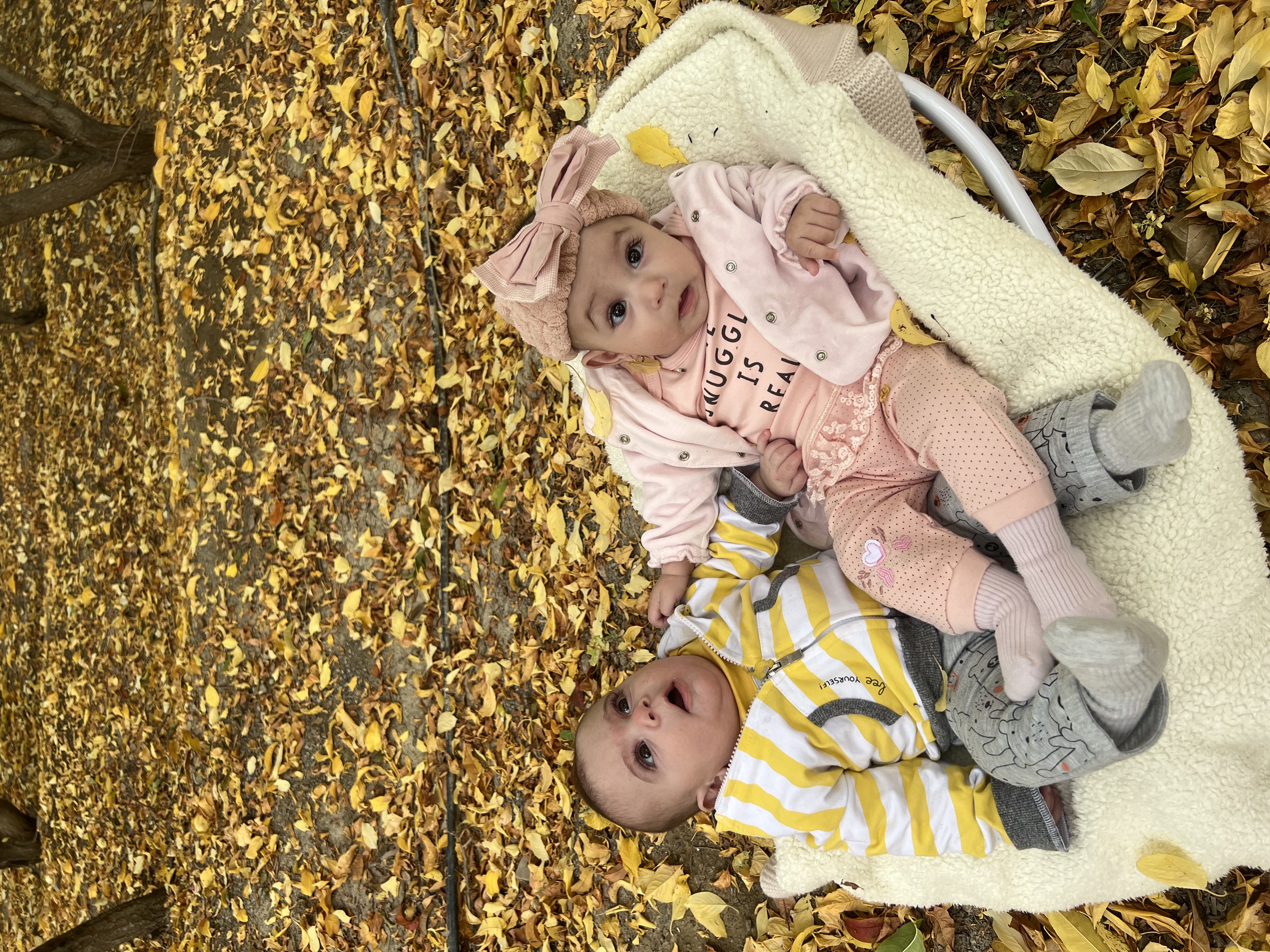 کارن آذرکیش