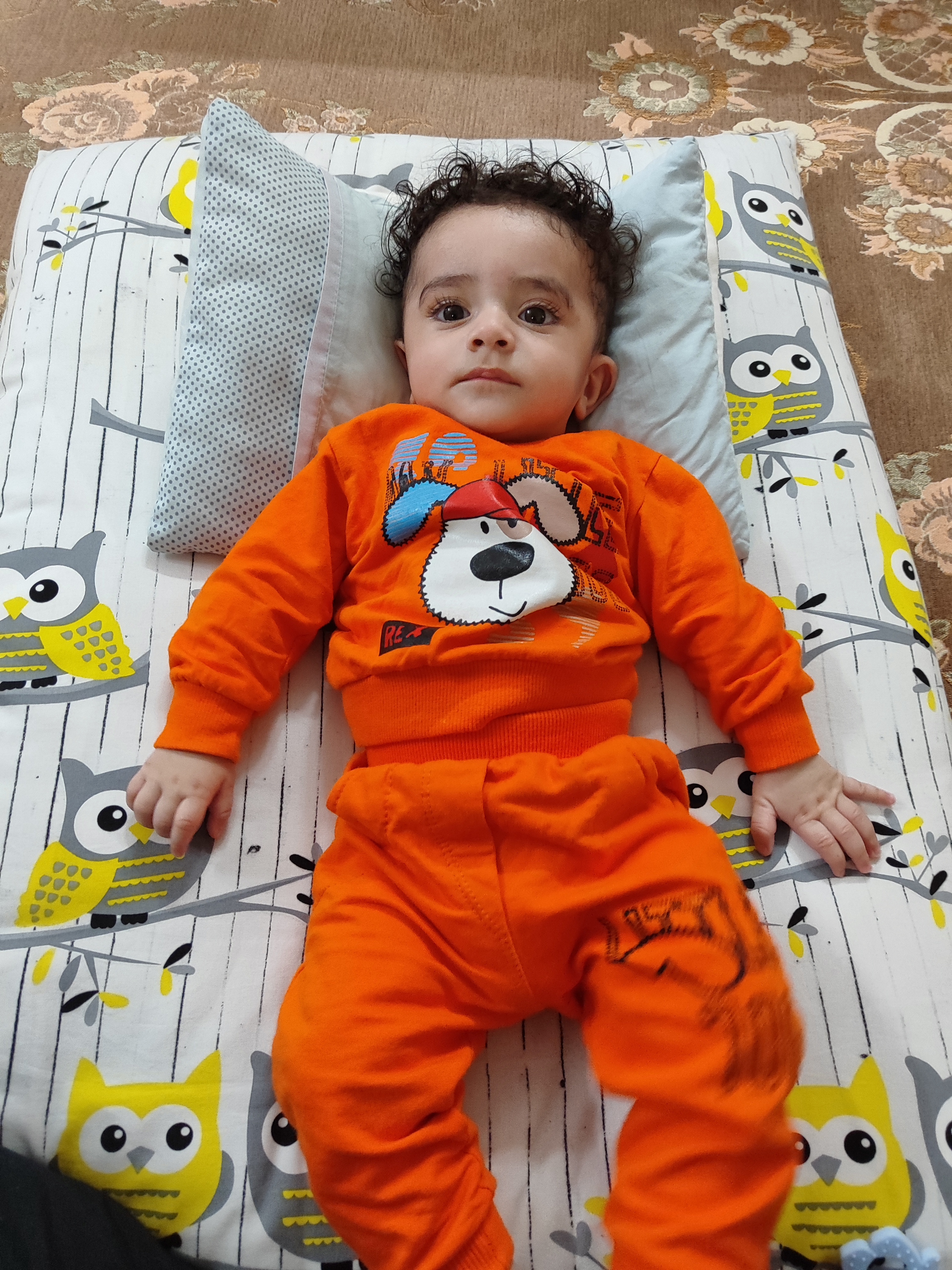 شاهان سلمانی زاده