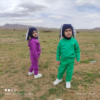 ترکیان دمنه