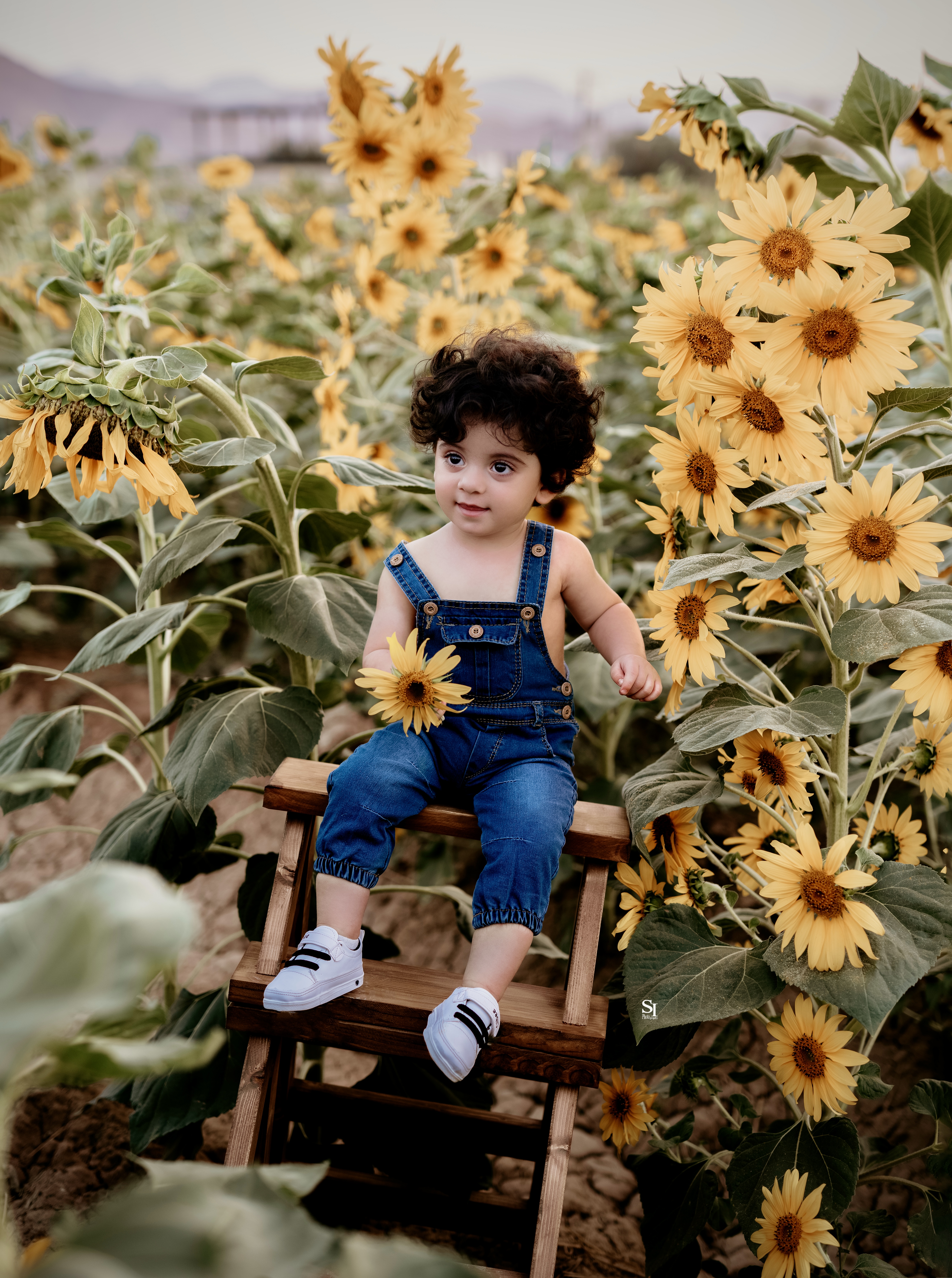 راستین شاطری