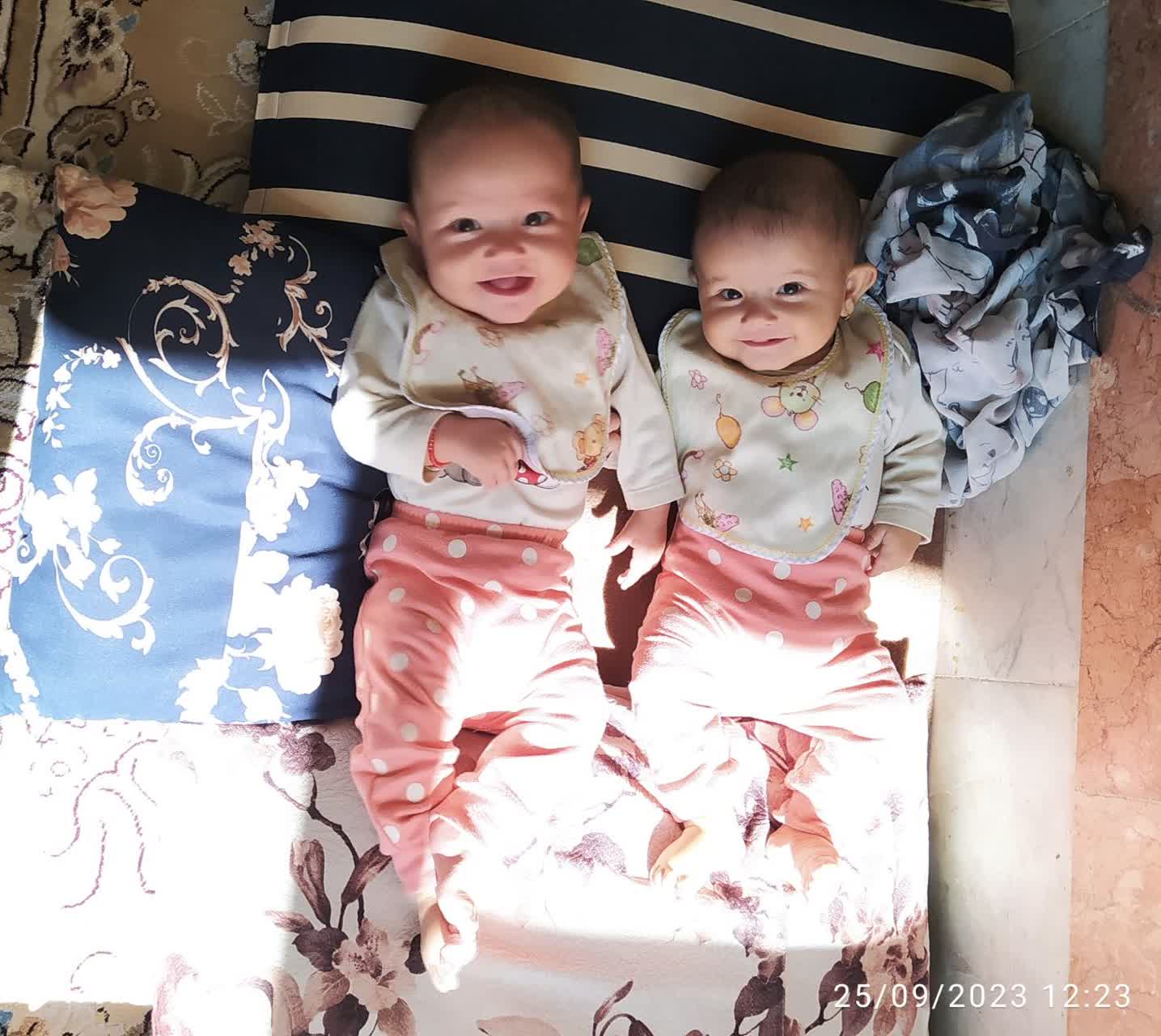 خوئی تربقان 