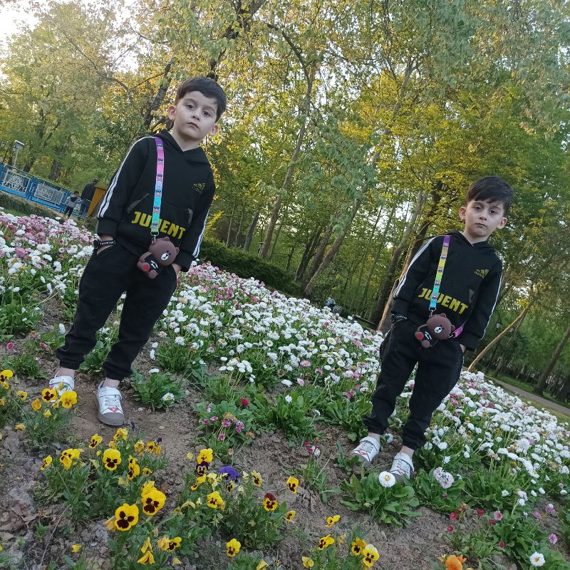 آروند شریفی