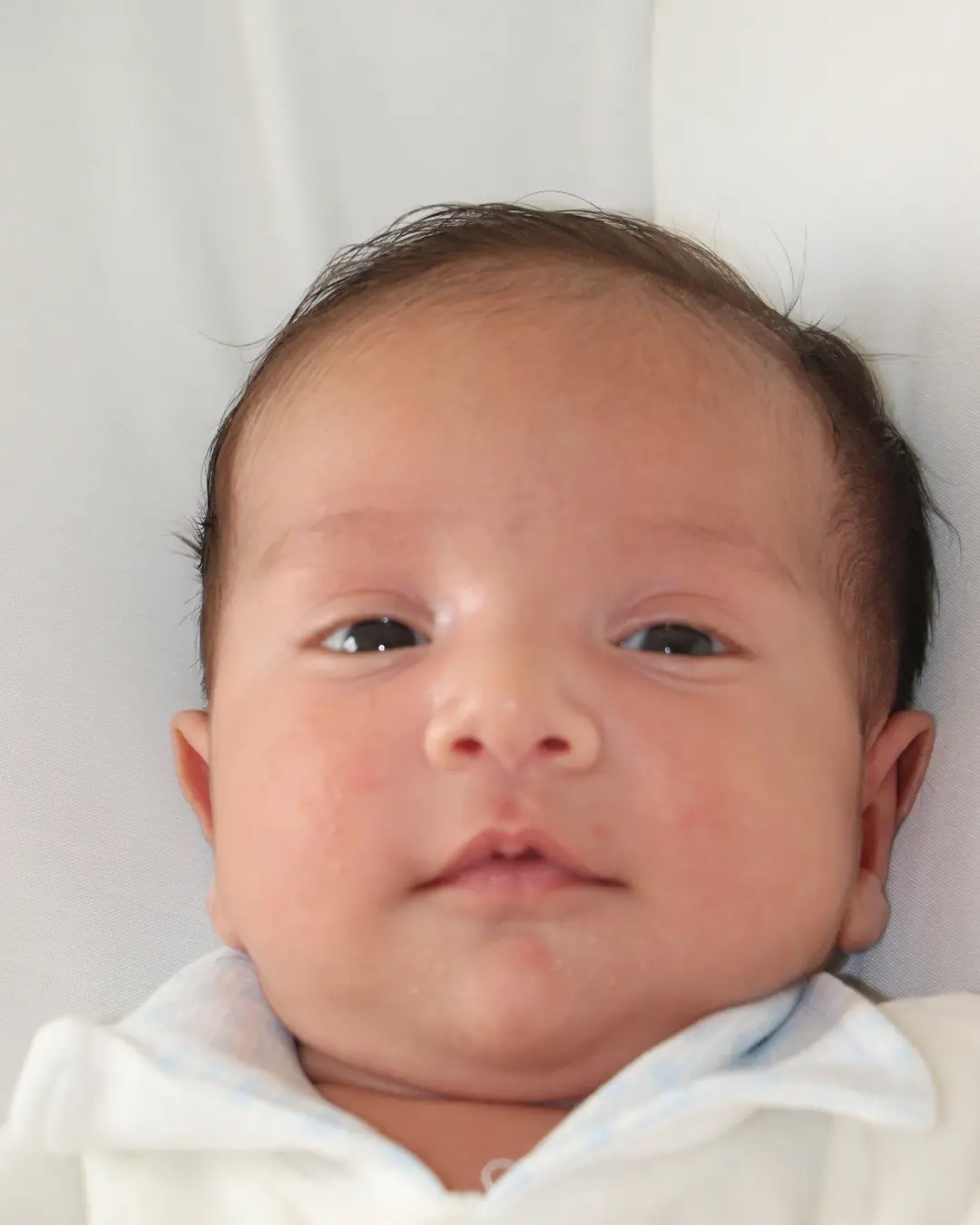 مهیار پوراقبالی