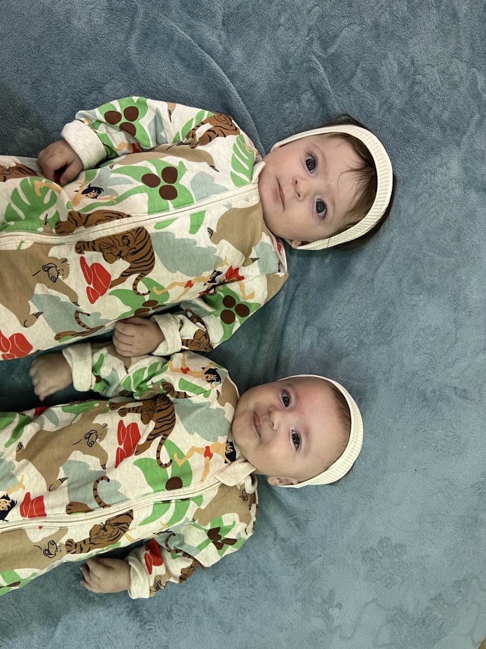 بیکی شلمانی 