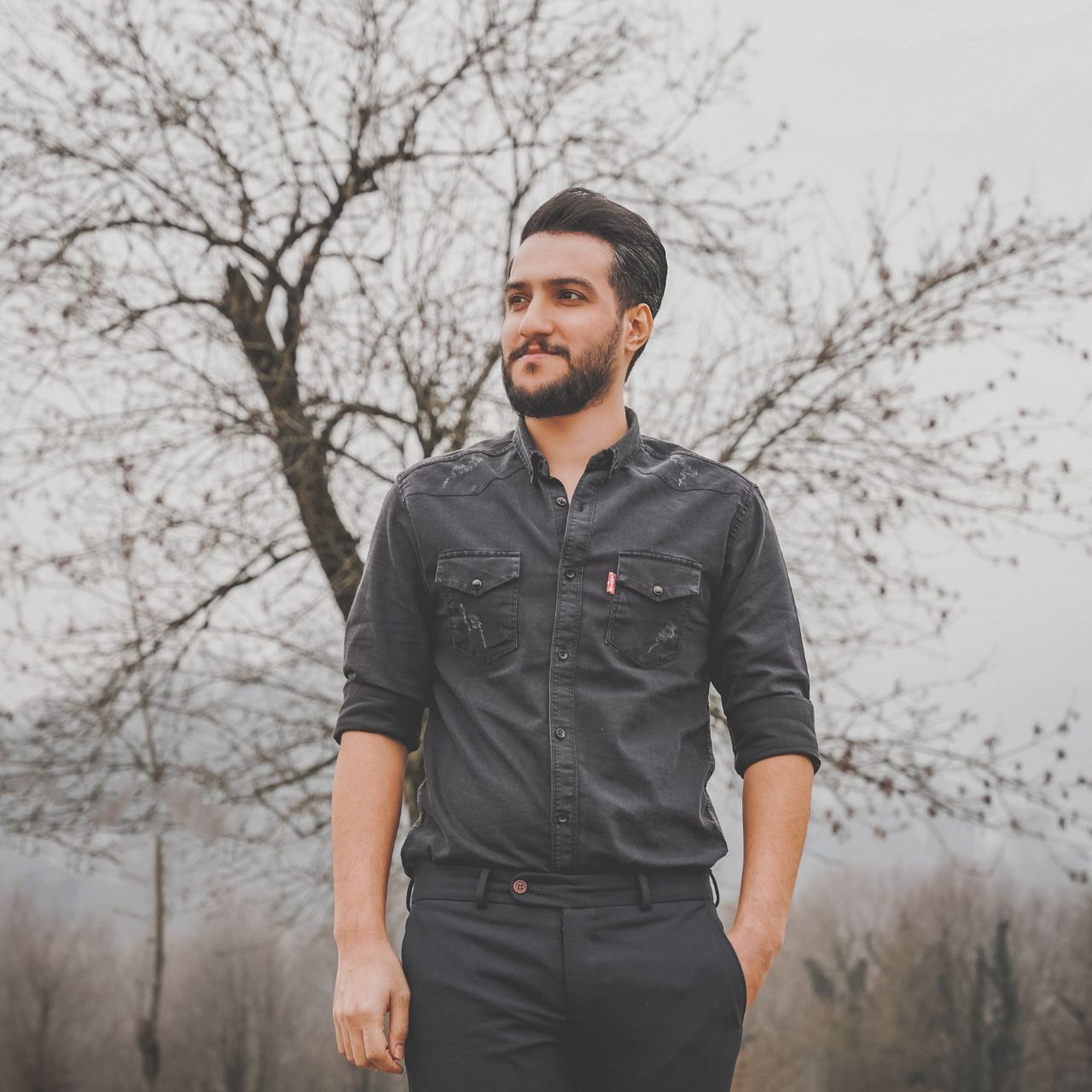 محمد دولت پور