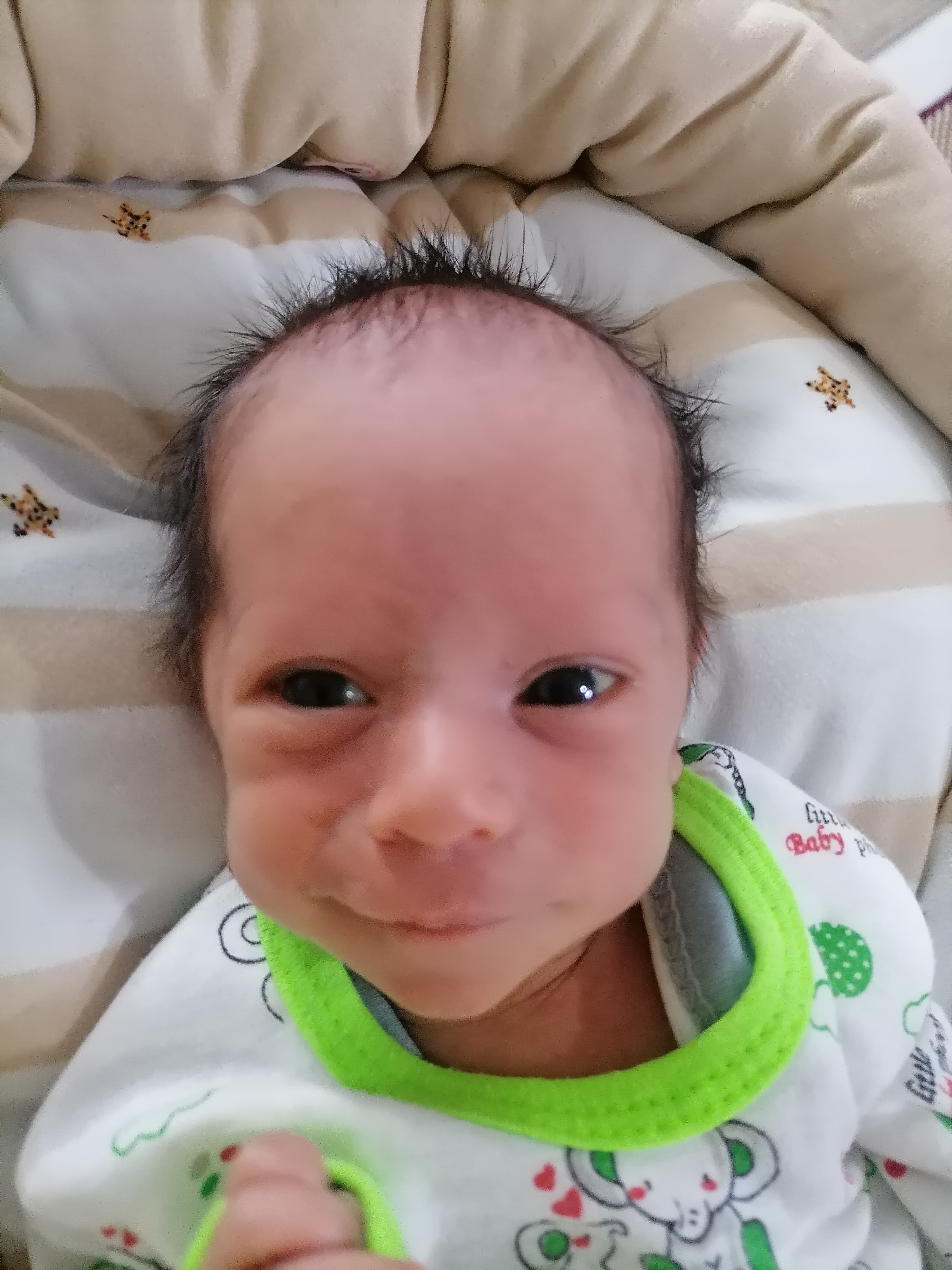 رادوین محمدی