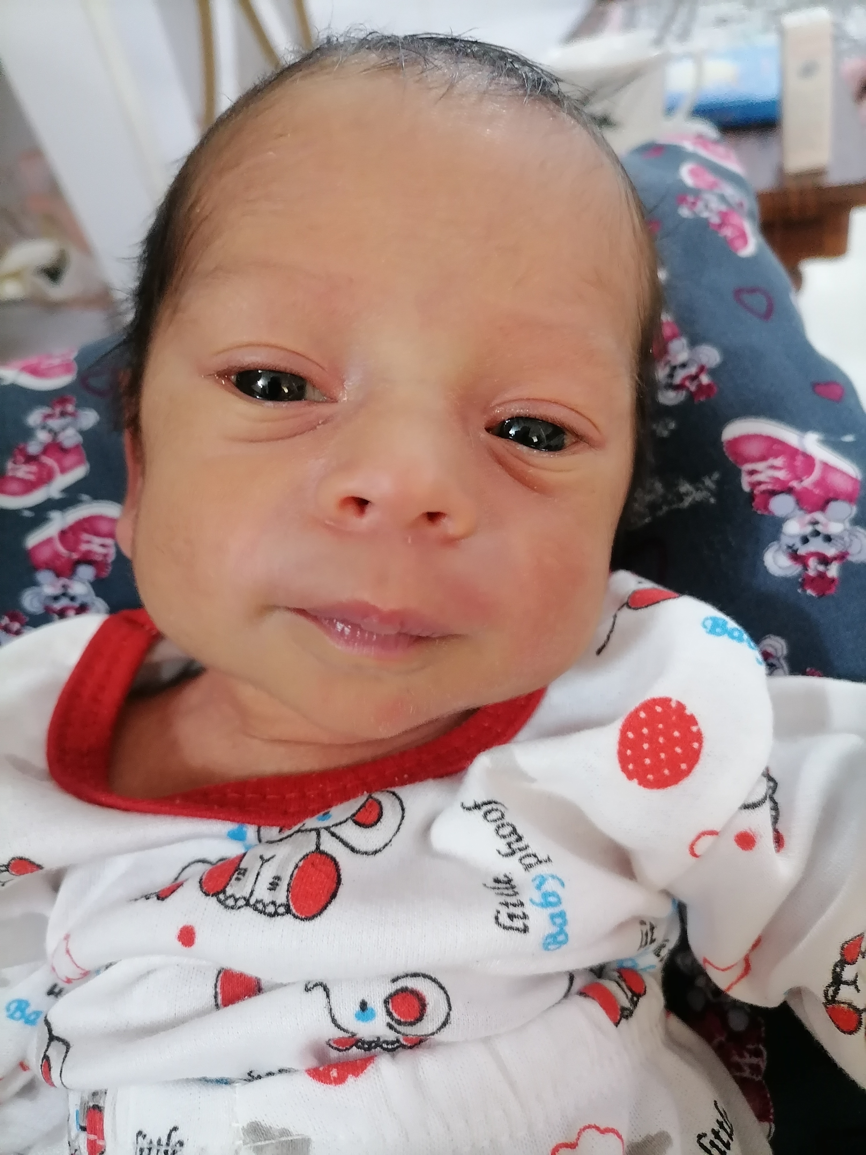 رادین محمدی