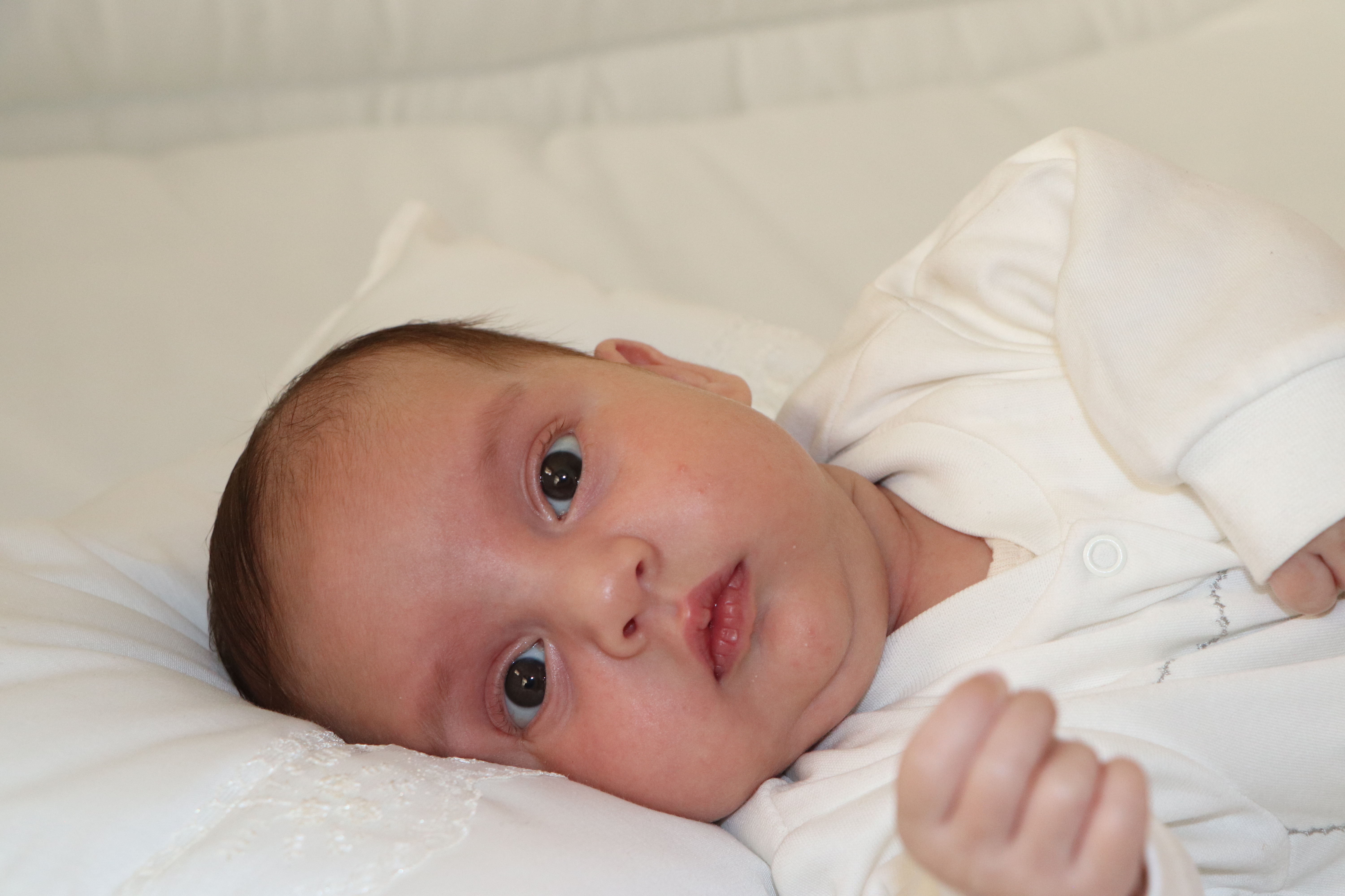 شهریار پوراقبالی