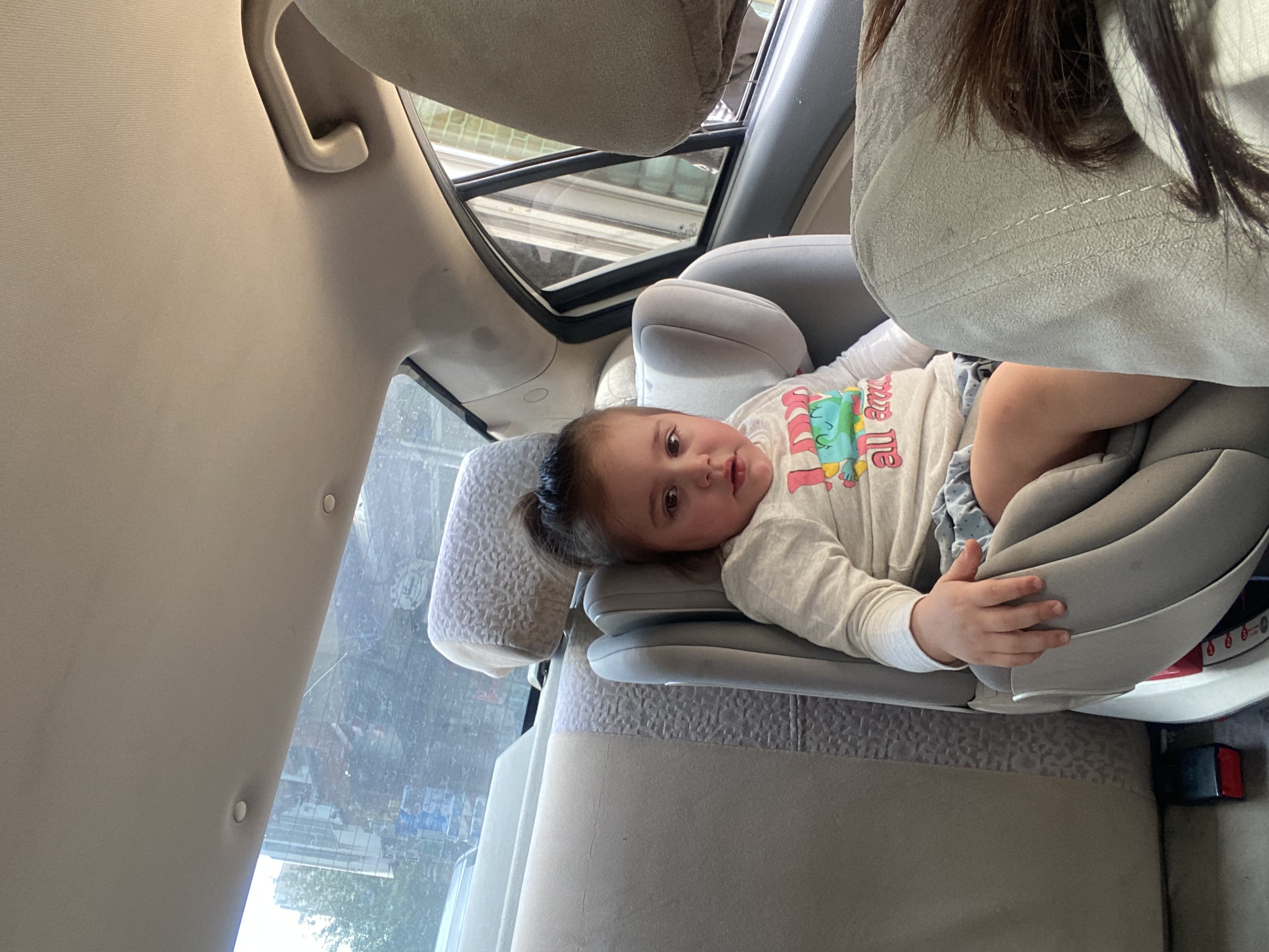 لاوین فرد حبیبی