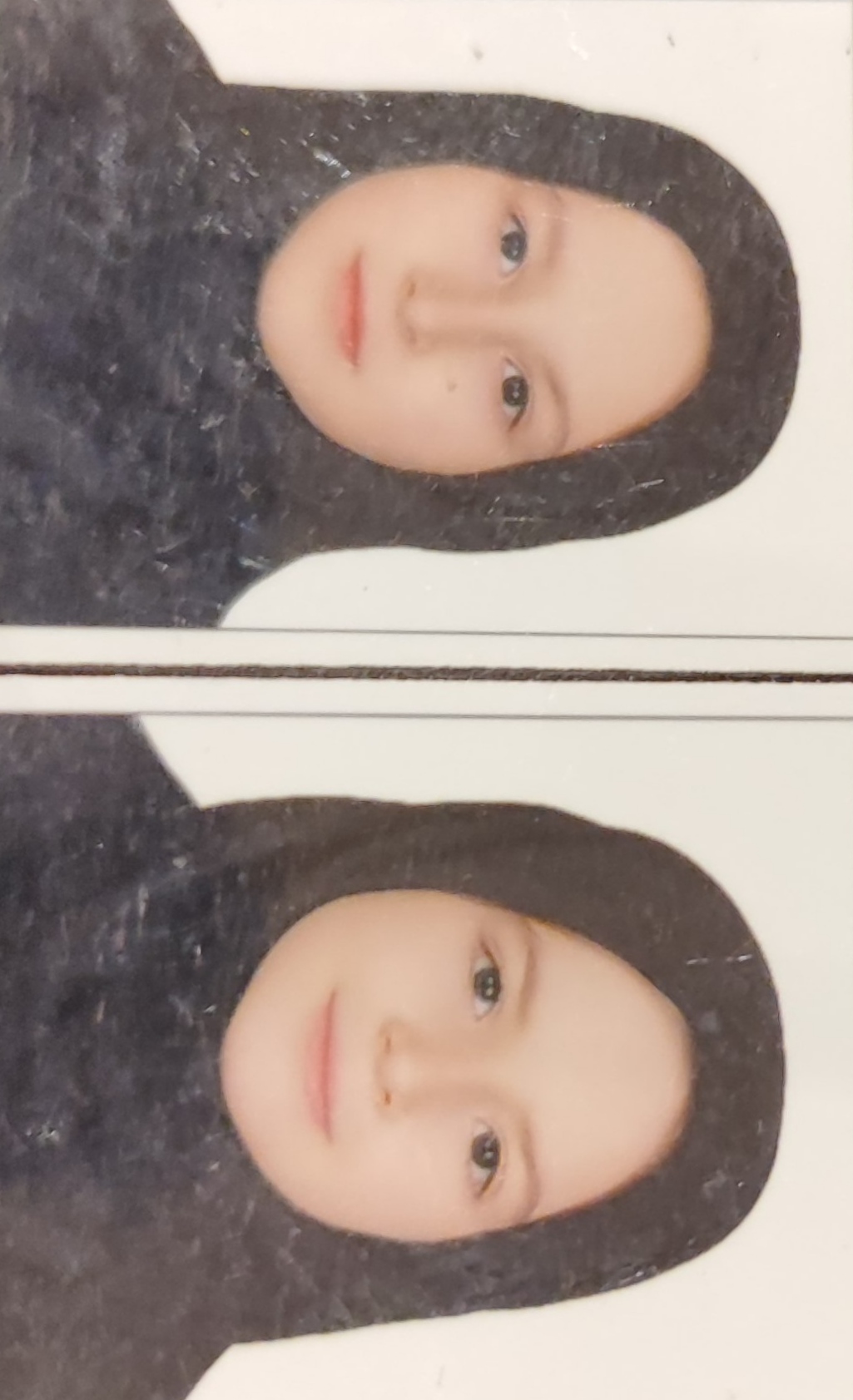 وجاهت گورچین قلعه