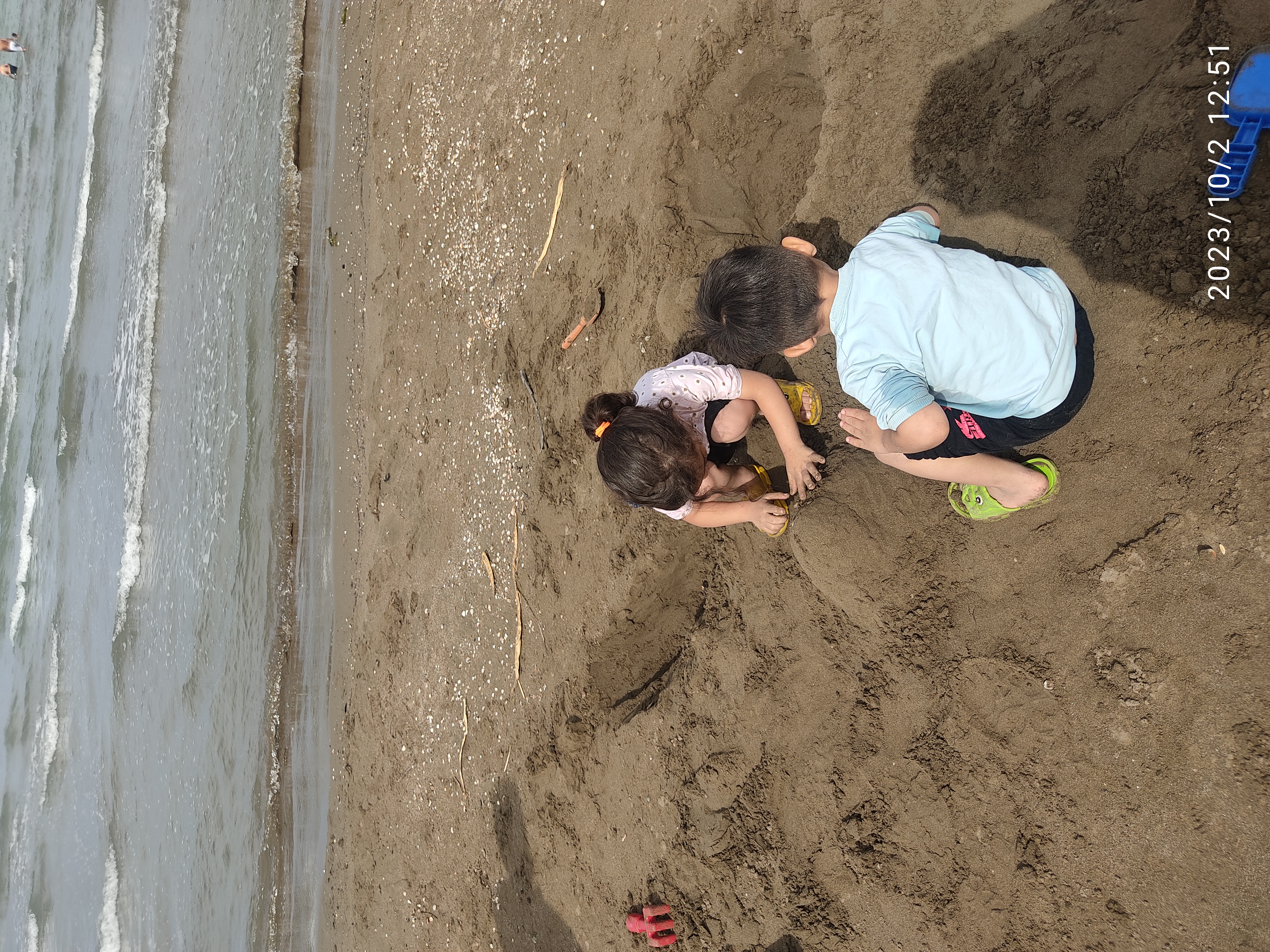 فرشته حق شناس