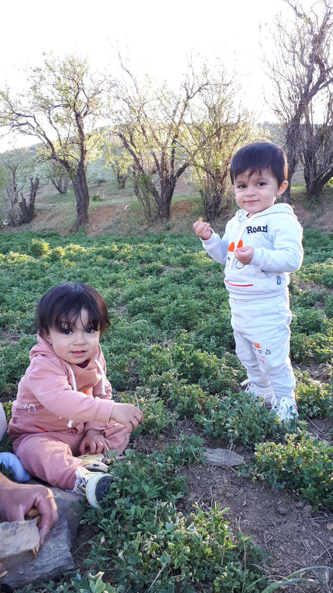 رادمان  بابایی سامانی 
