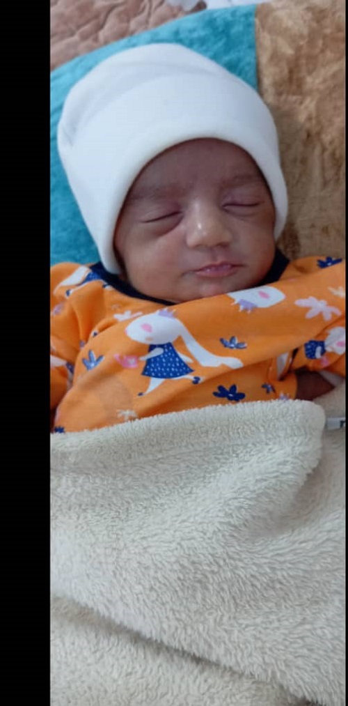 آناگل هاشم زهی