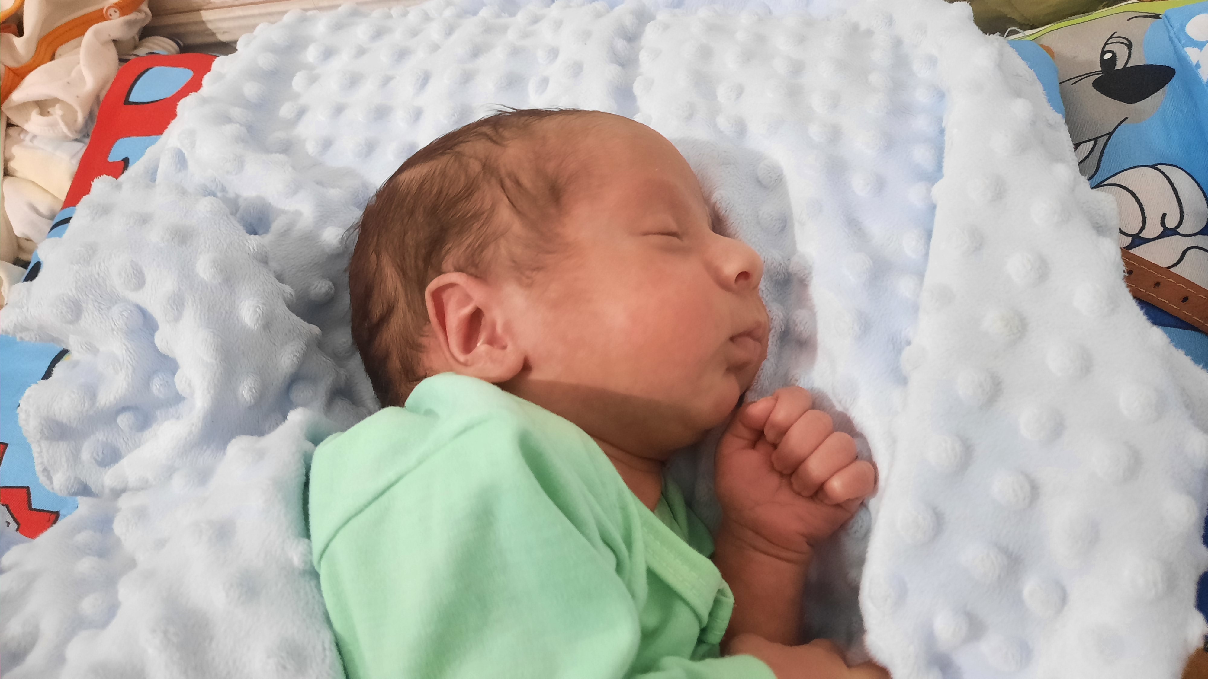 محمد مهدی مهاجری