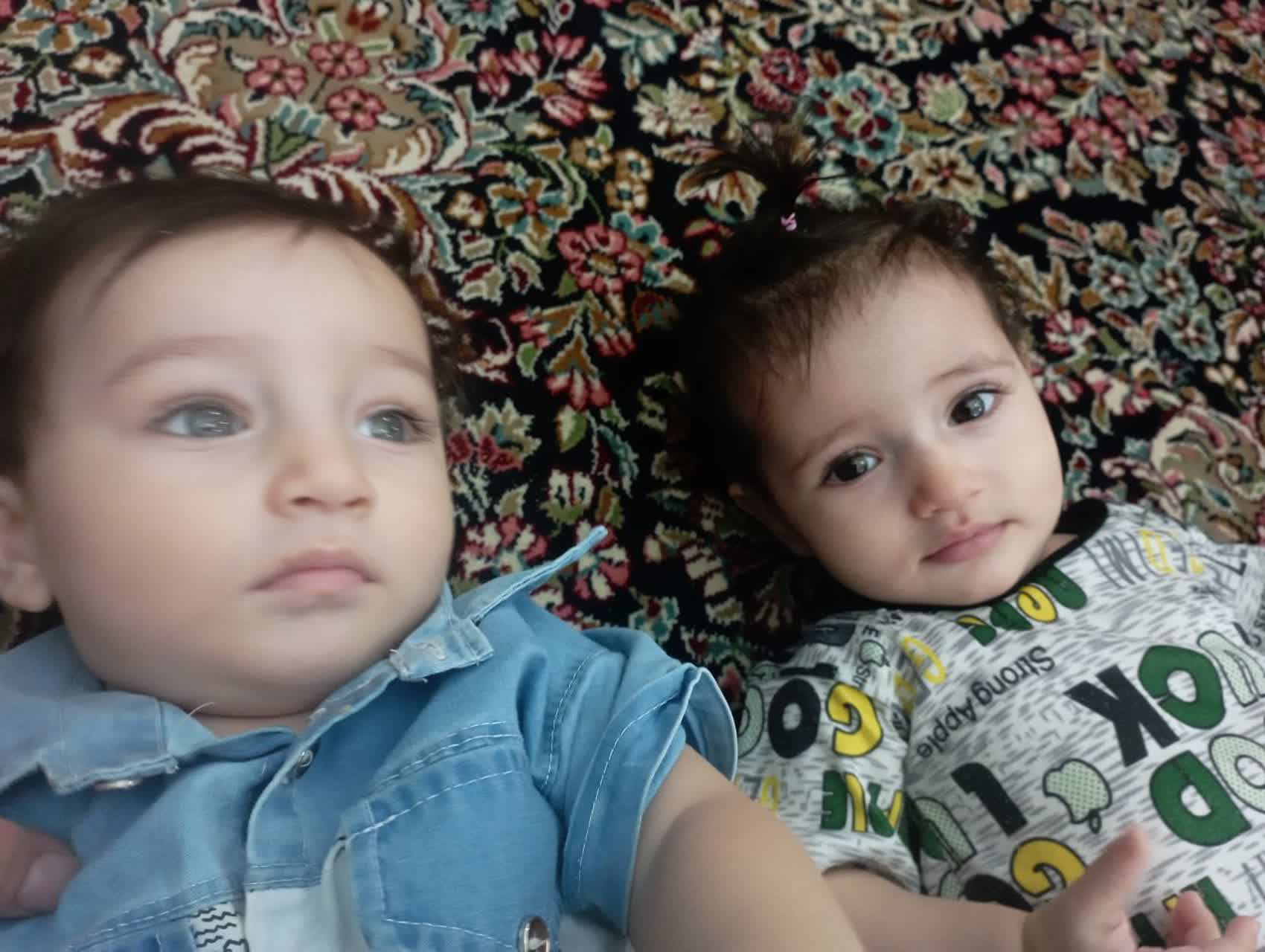 خانواده عبداللهی خبیصی