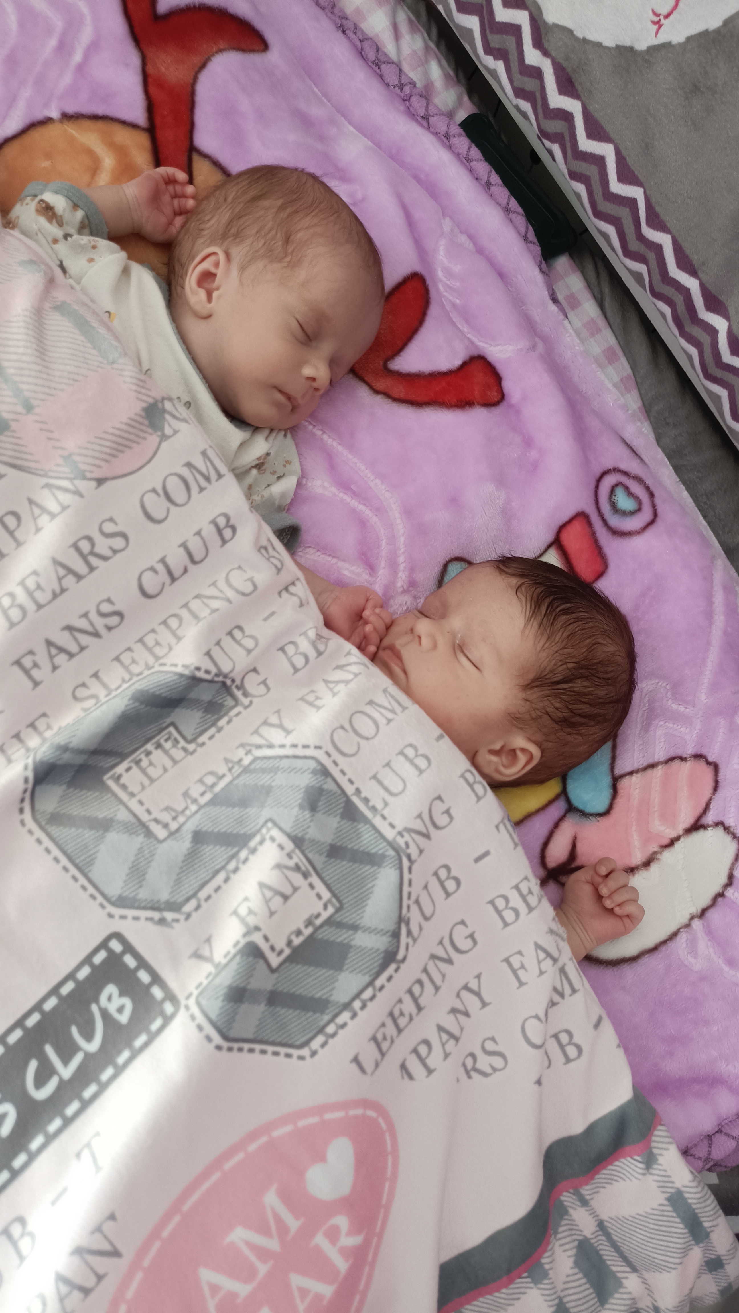 آرینا  مصطفایی 