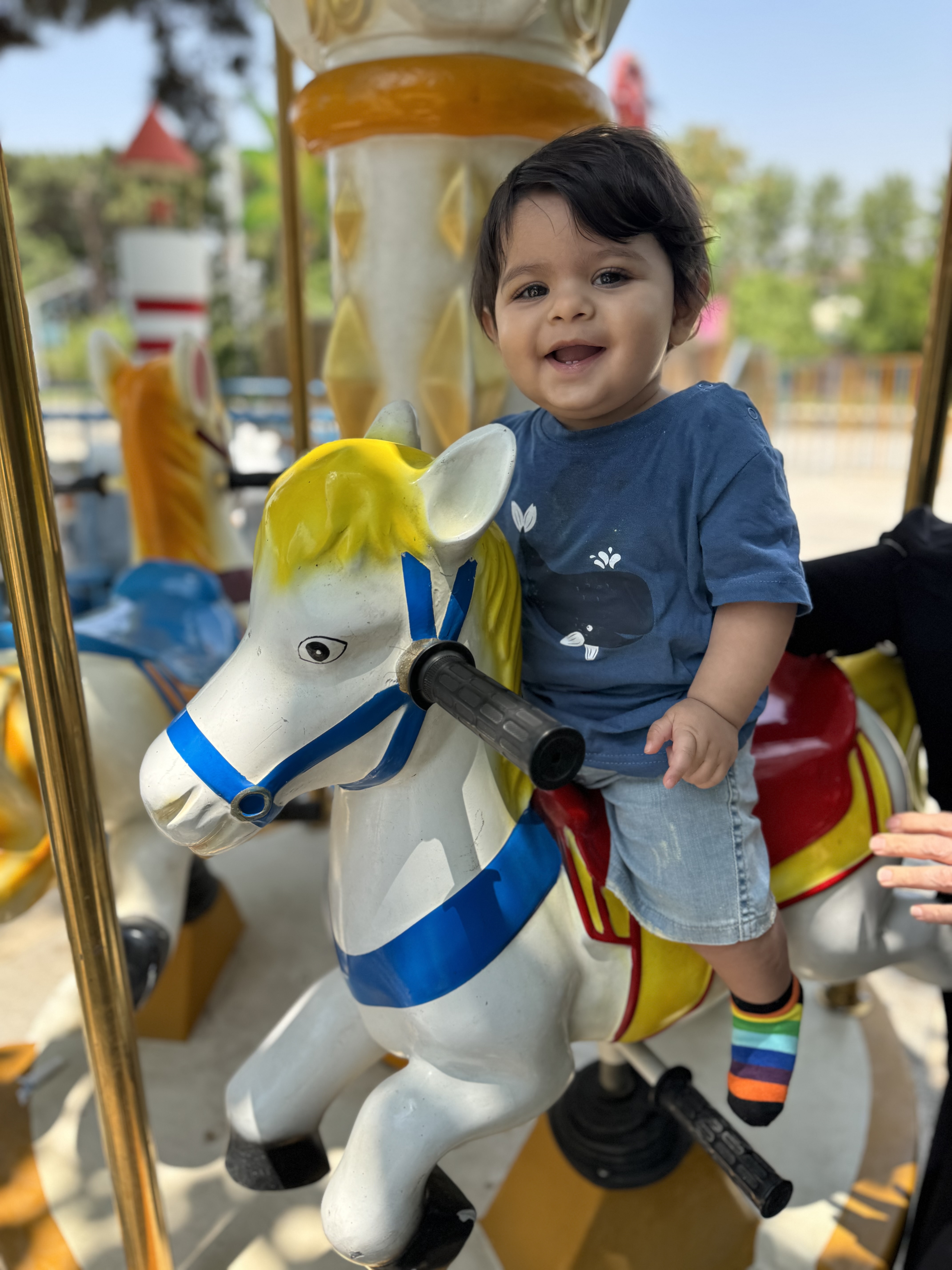 علیسان زمانیان