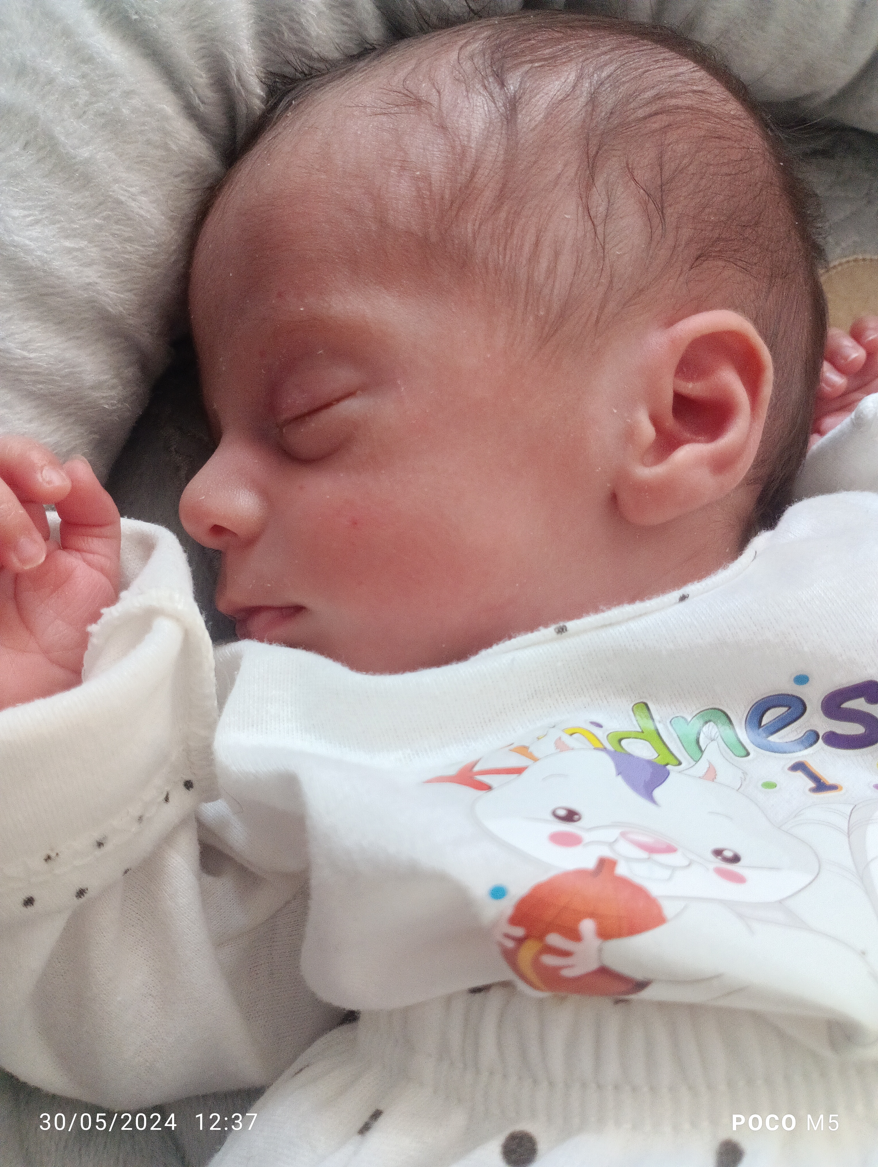 دنیاسادات مسلمی خوانساری