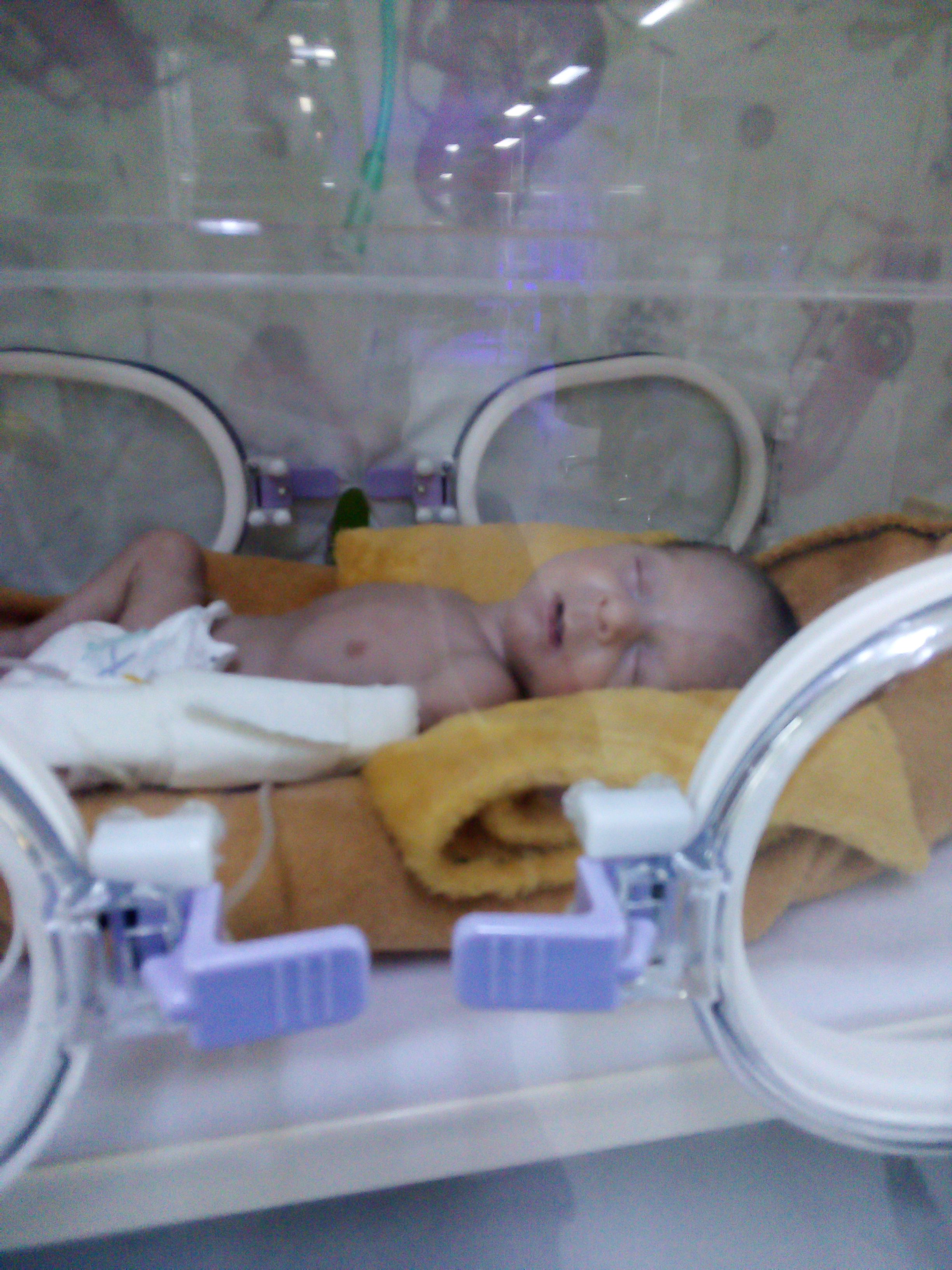 محمد رضا  جعفری 