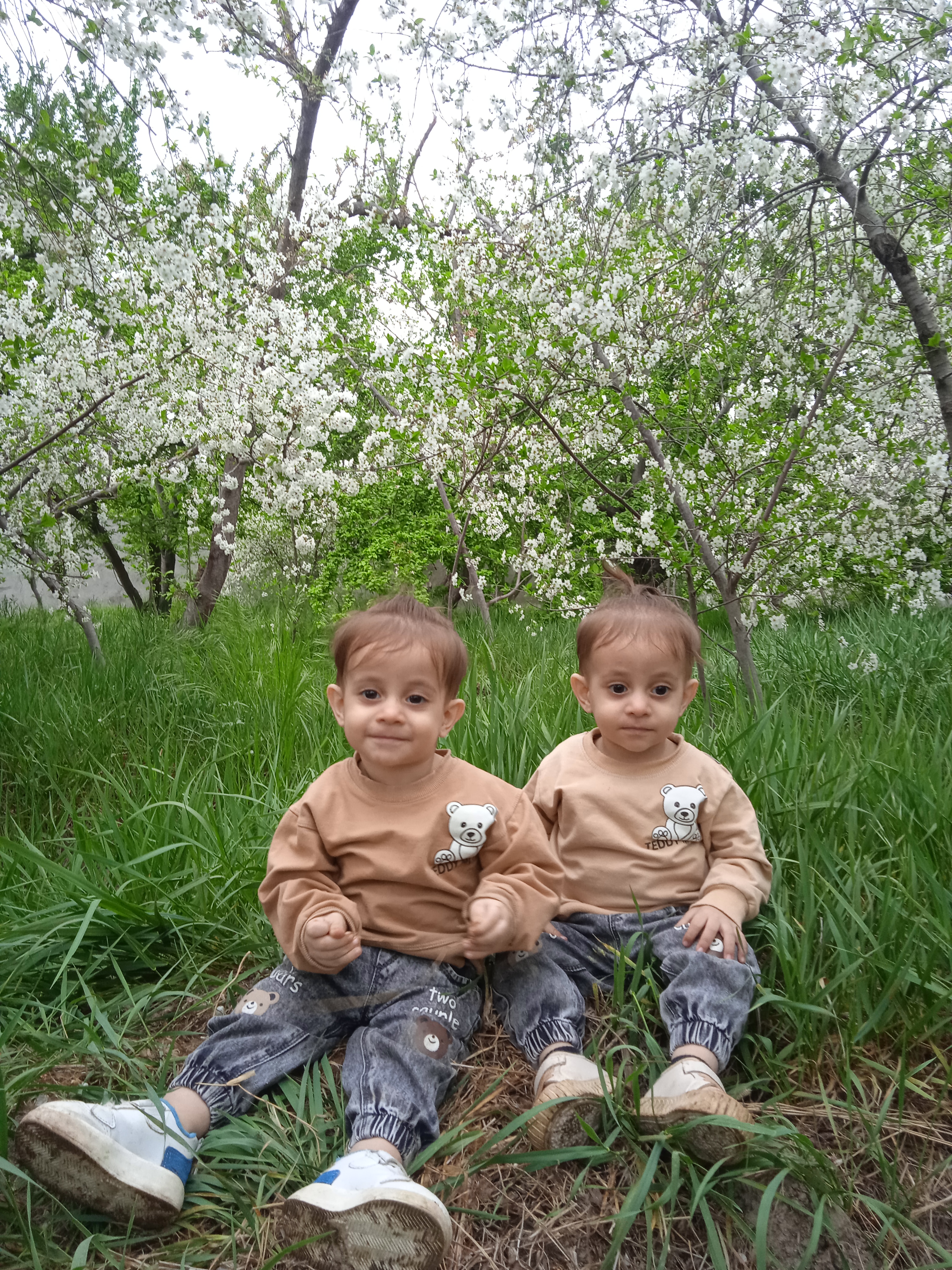 سبحان خدیوباغجغاز