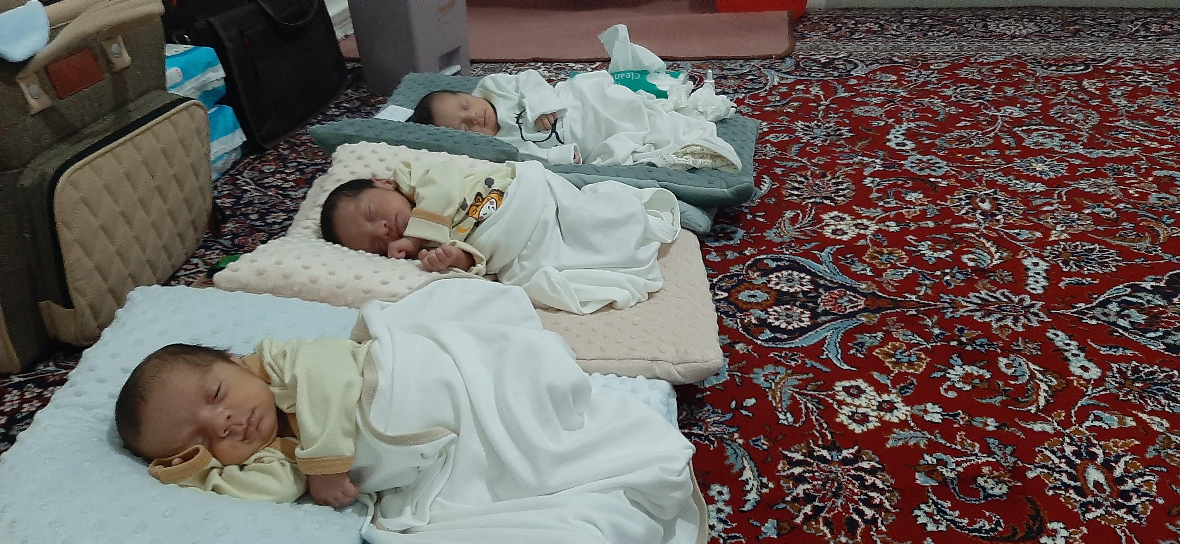 محمدطاها داودی