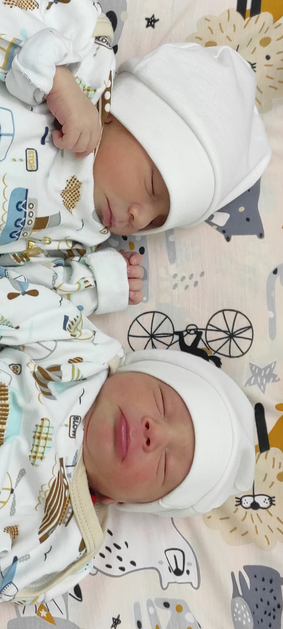 عباسی تیمور