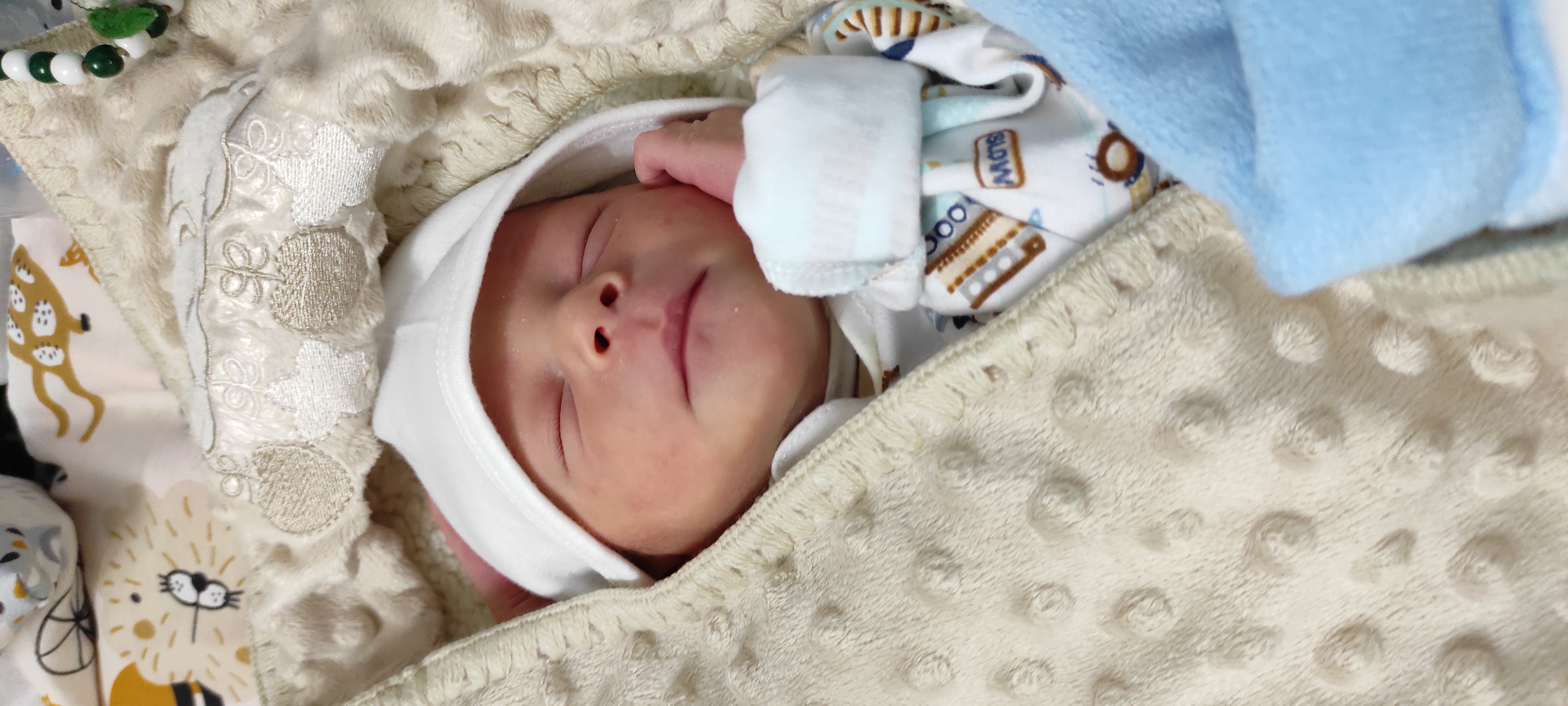 شاهان عباسی تیمور