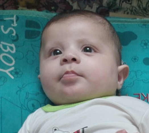 سلنا ابراهیمی مطلق