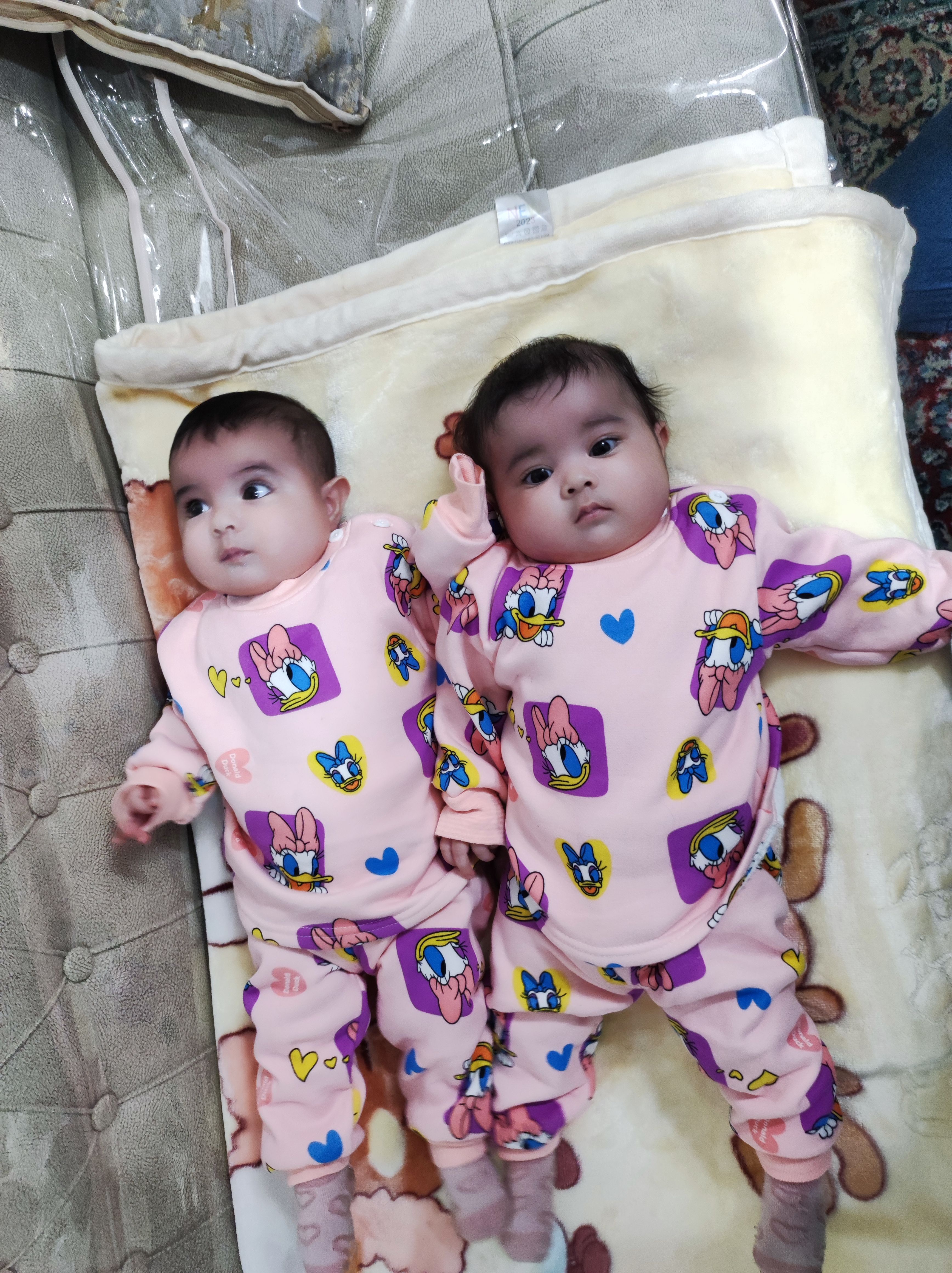 نوربخش دولق