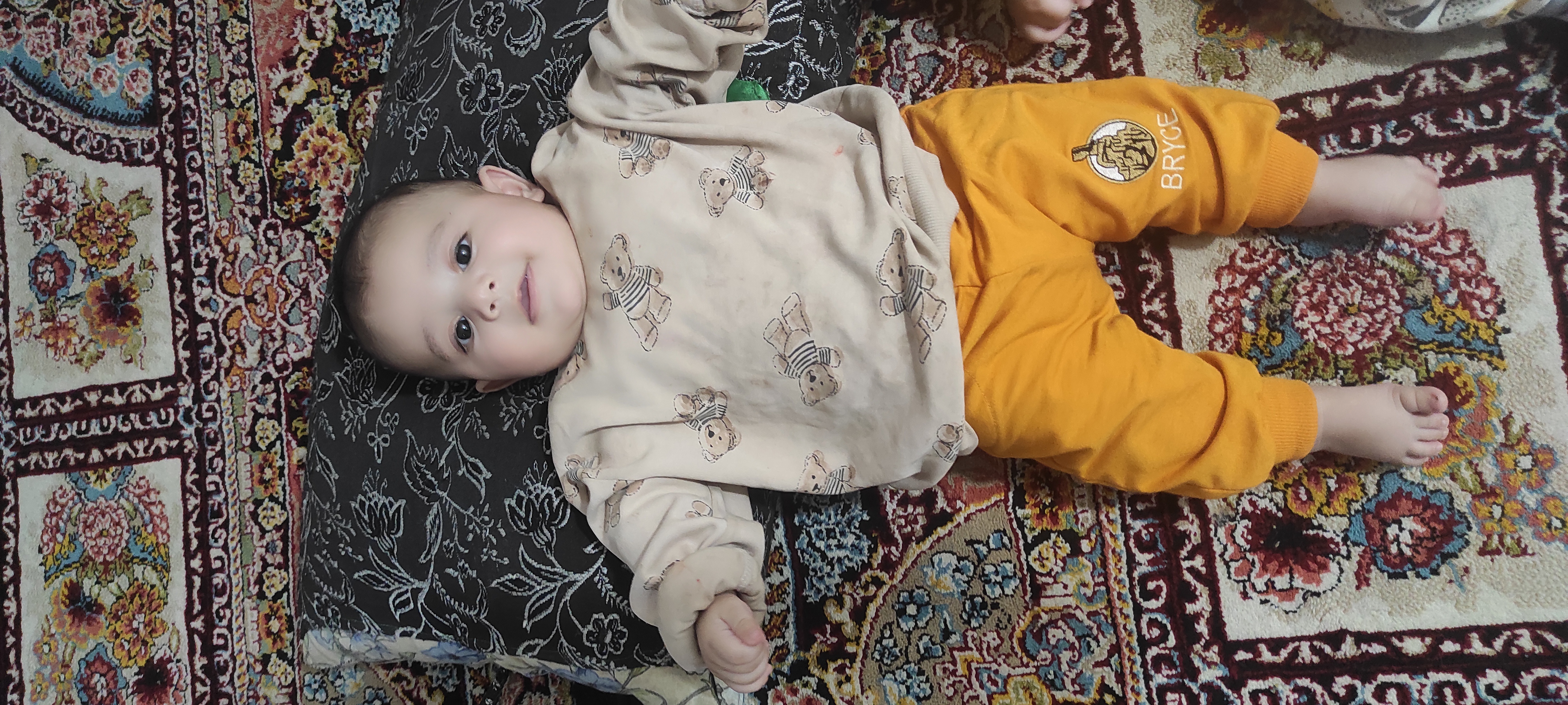 آوش اسماعیلی کتکی