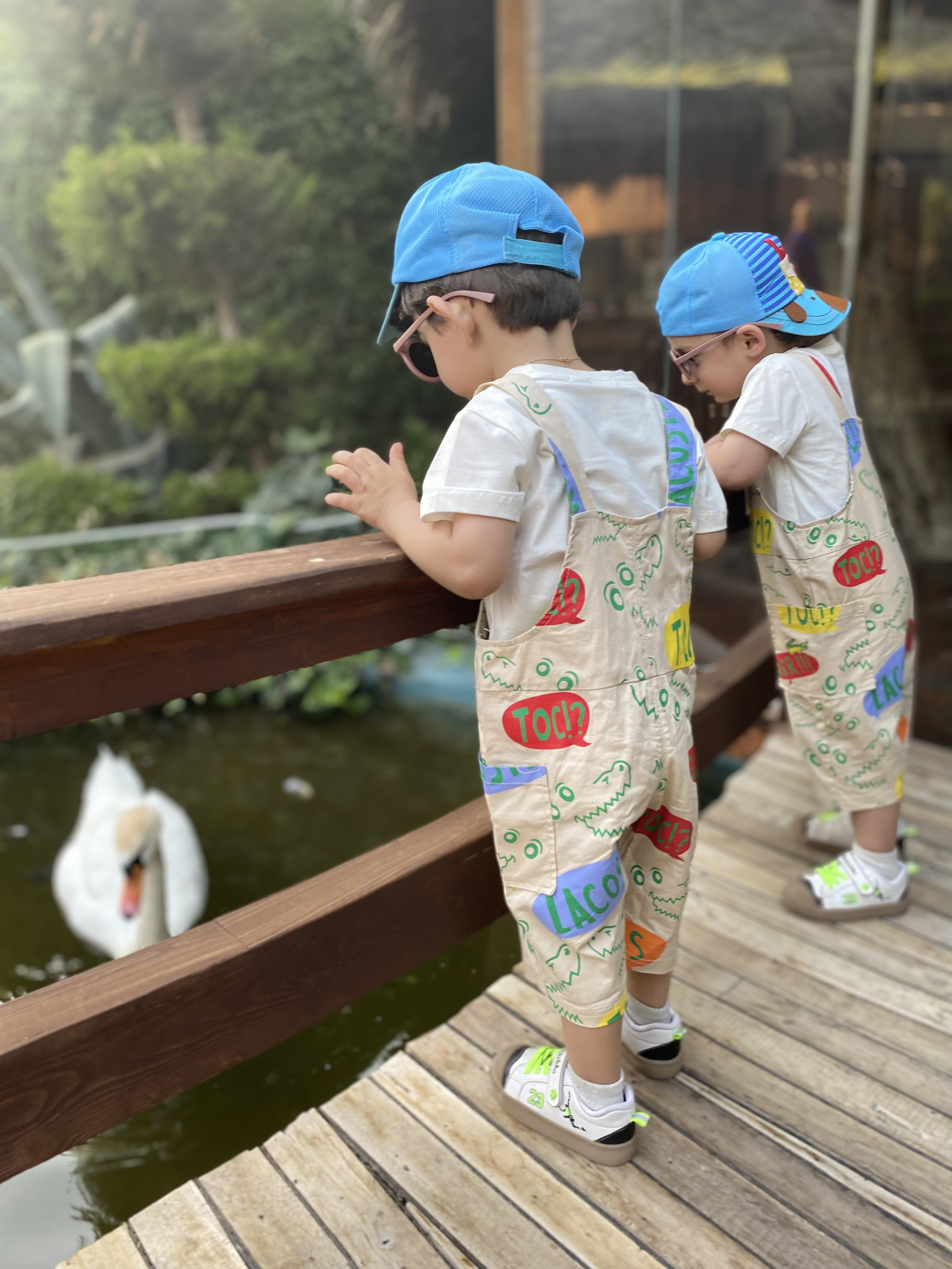 ایلیا   شنوایی اصل 