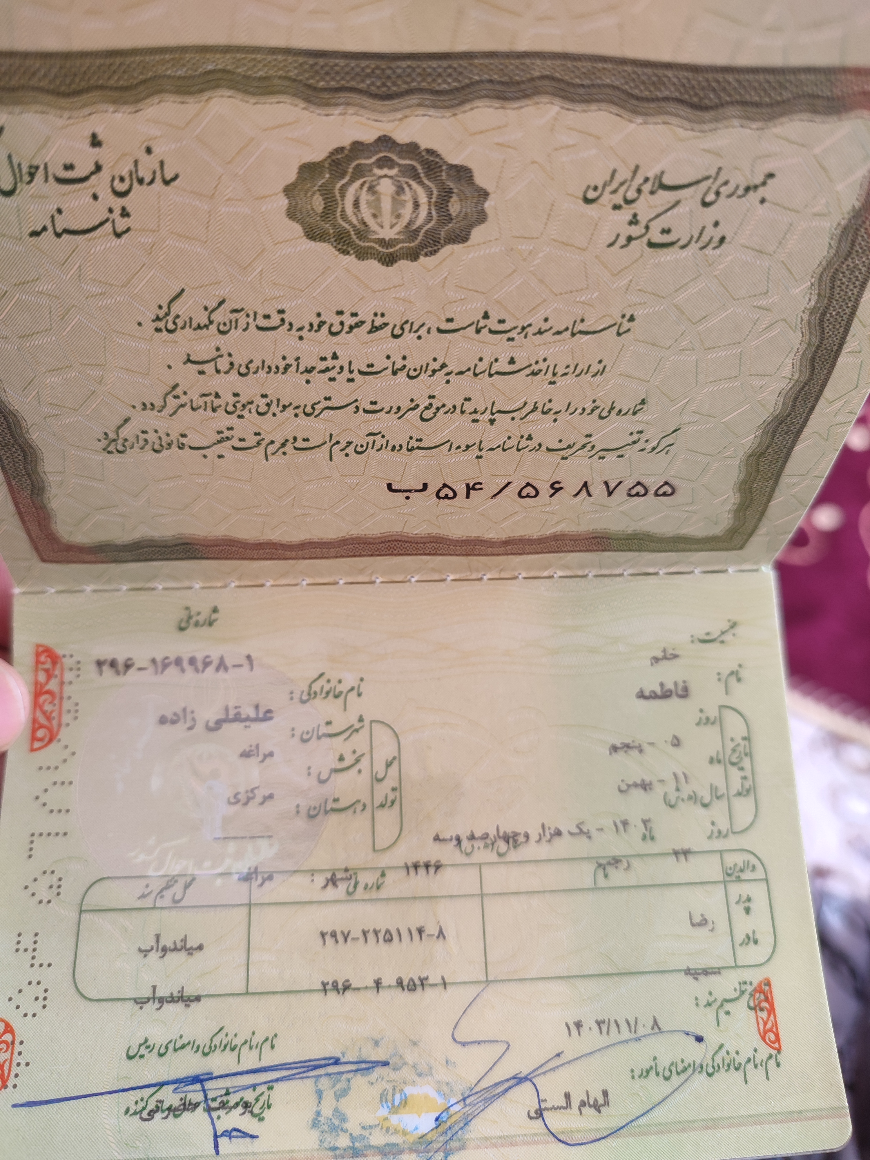 فاطمه علیقلی زاده