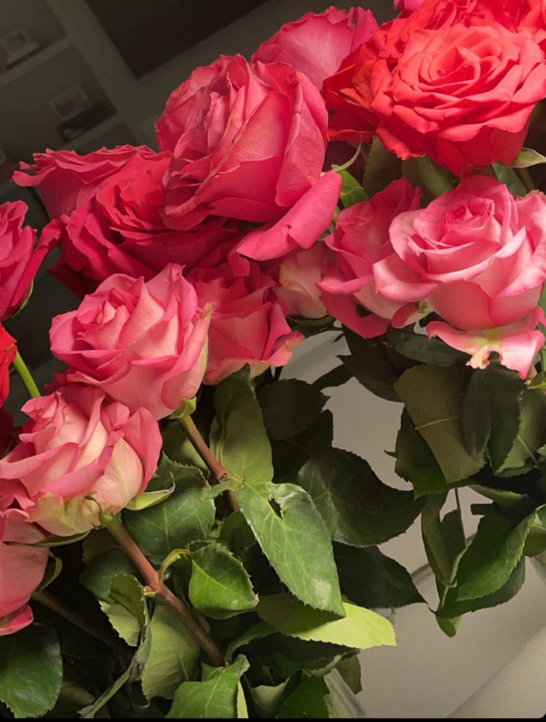 خدری میرقاید