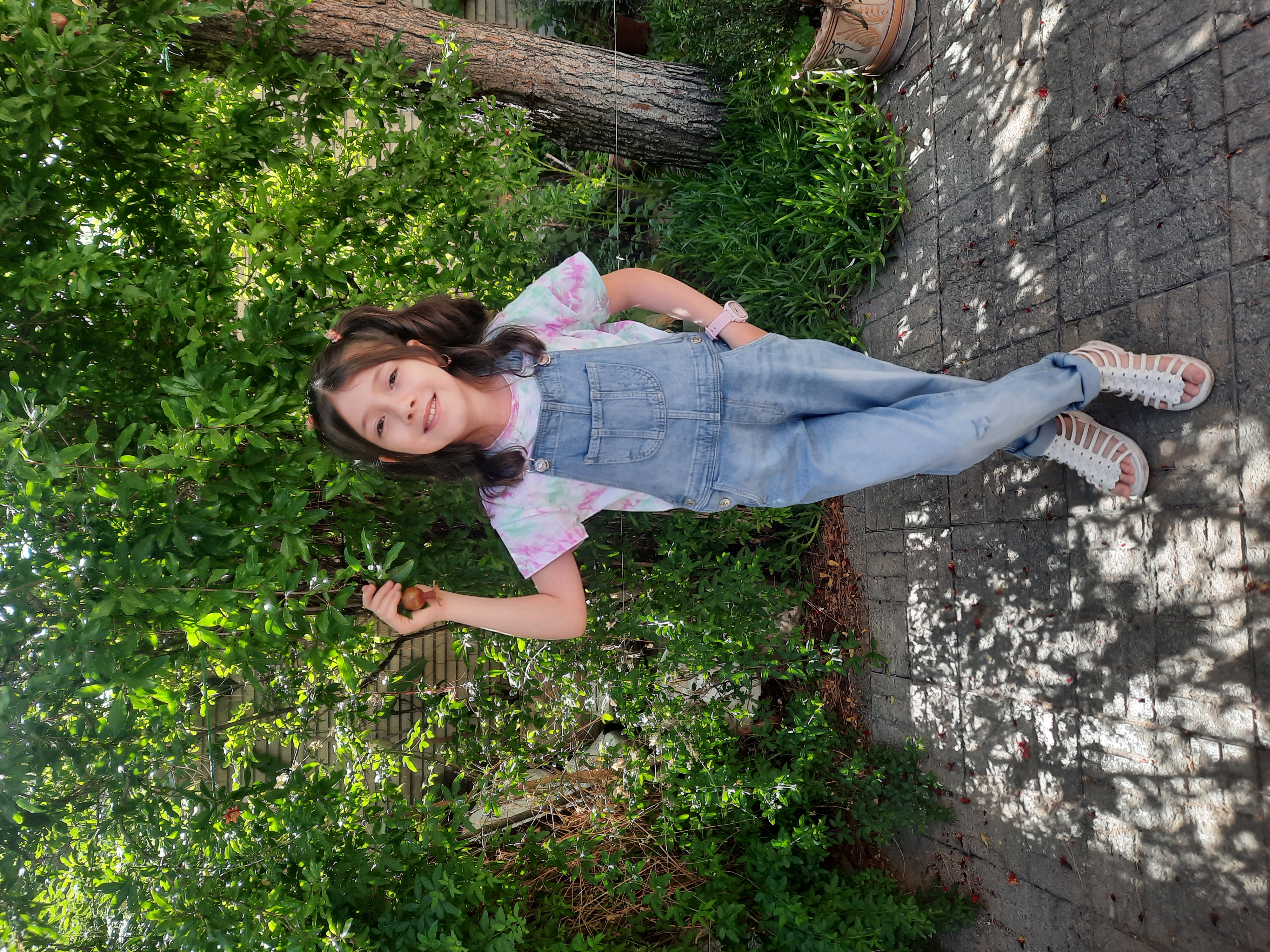 دینا پور محسن بکتا