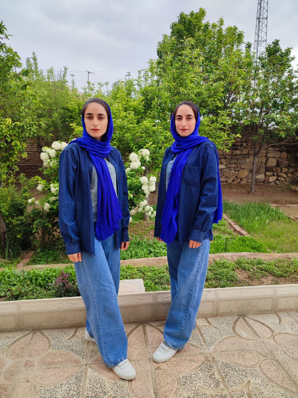 ویژه دولت اباد