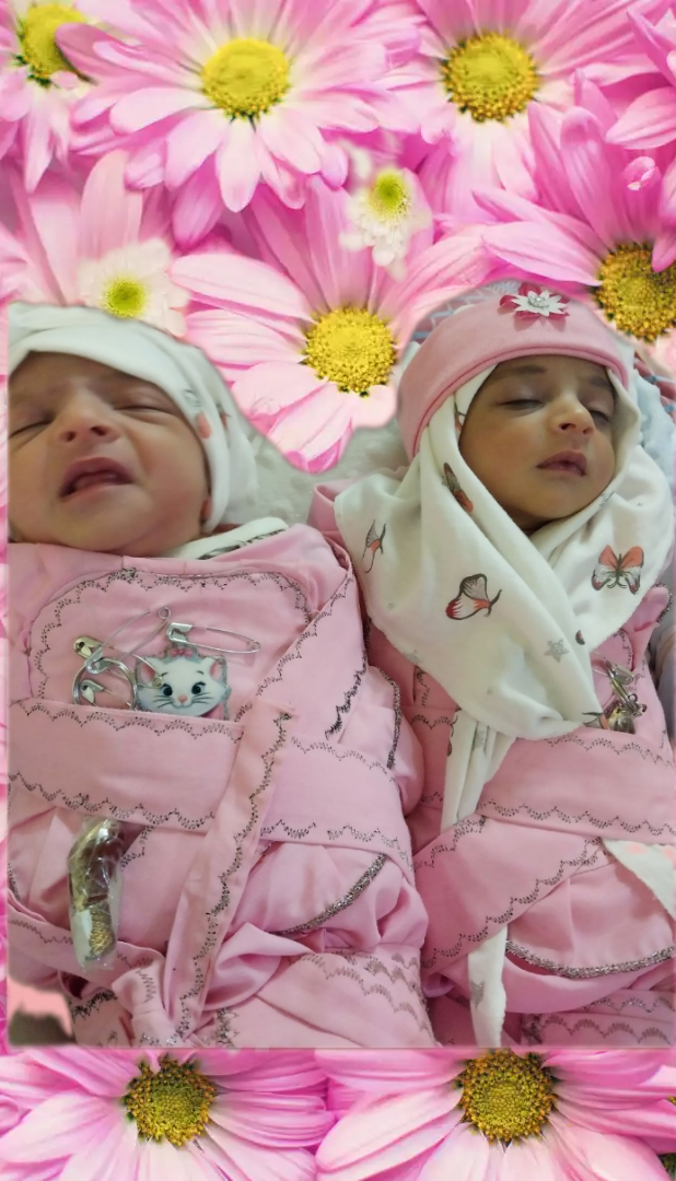 شهرکی قلعه نو