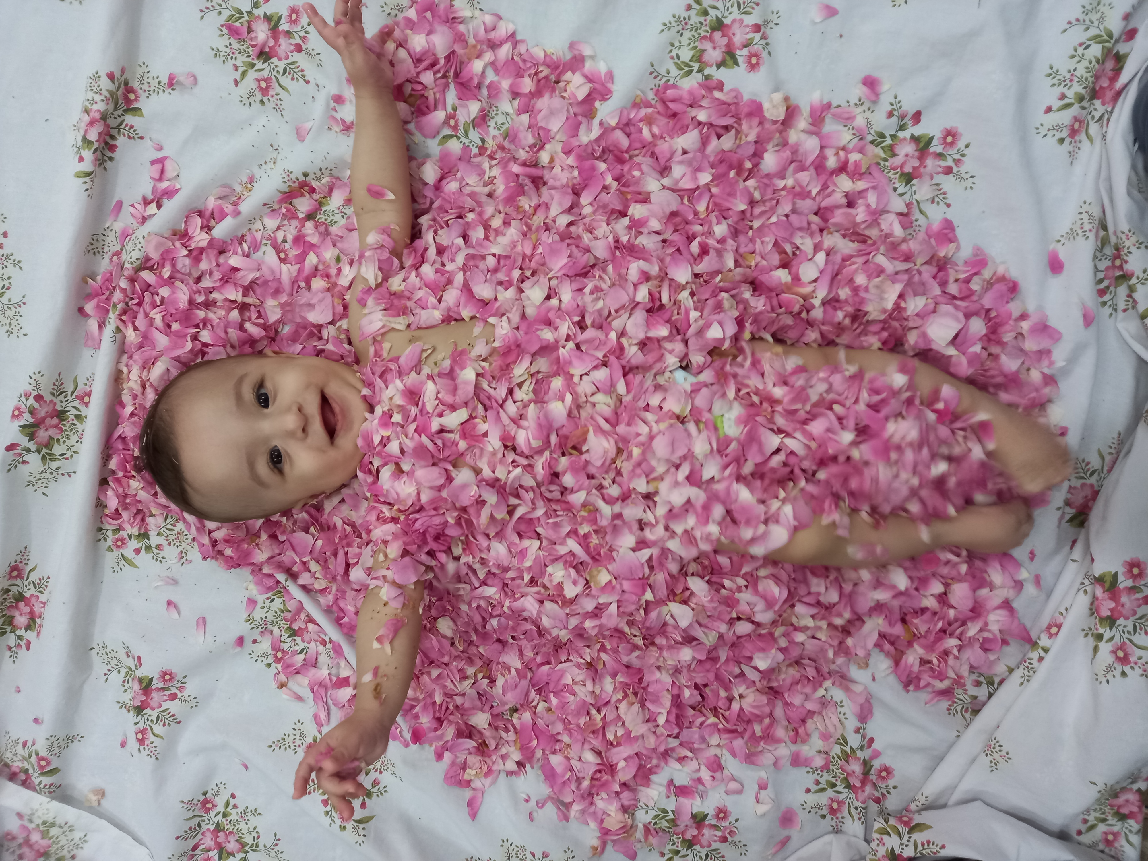 محمدحسین ملاحسینی