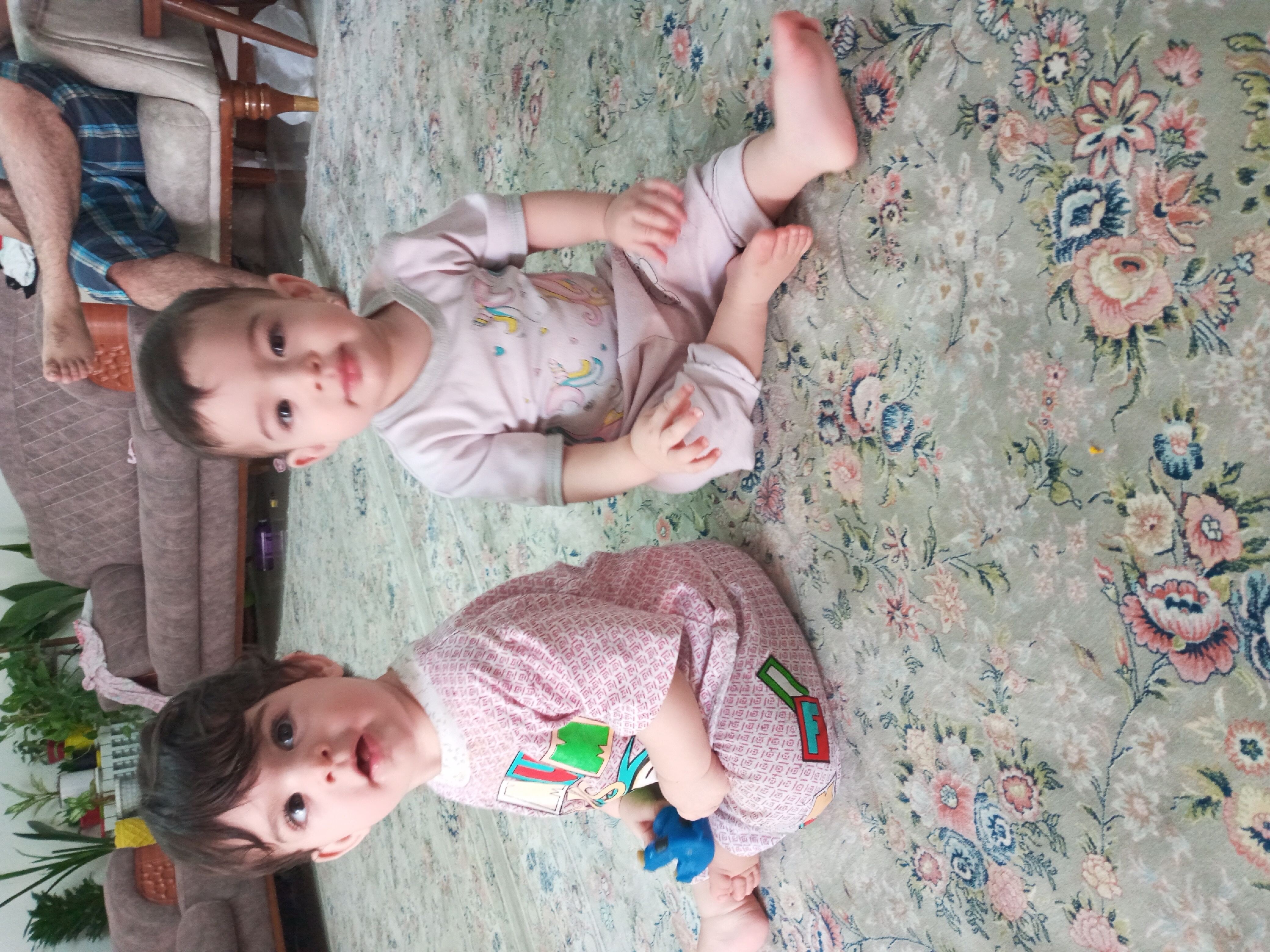 عنبرستانی صمدی