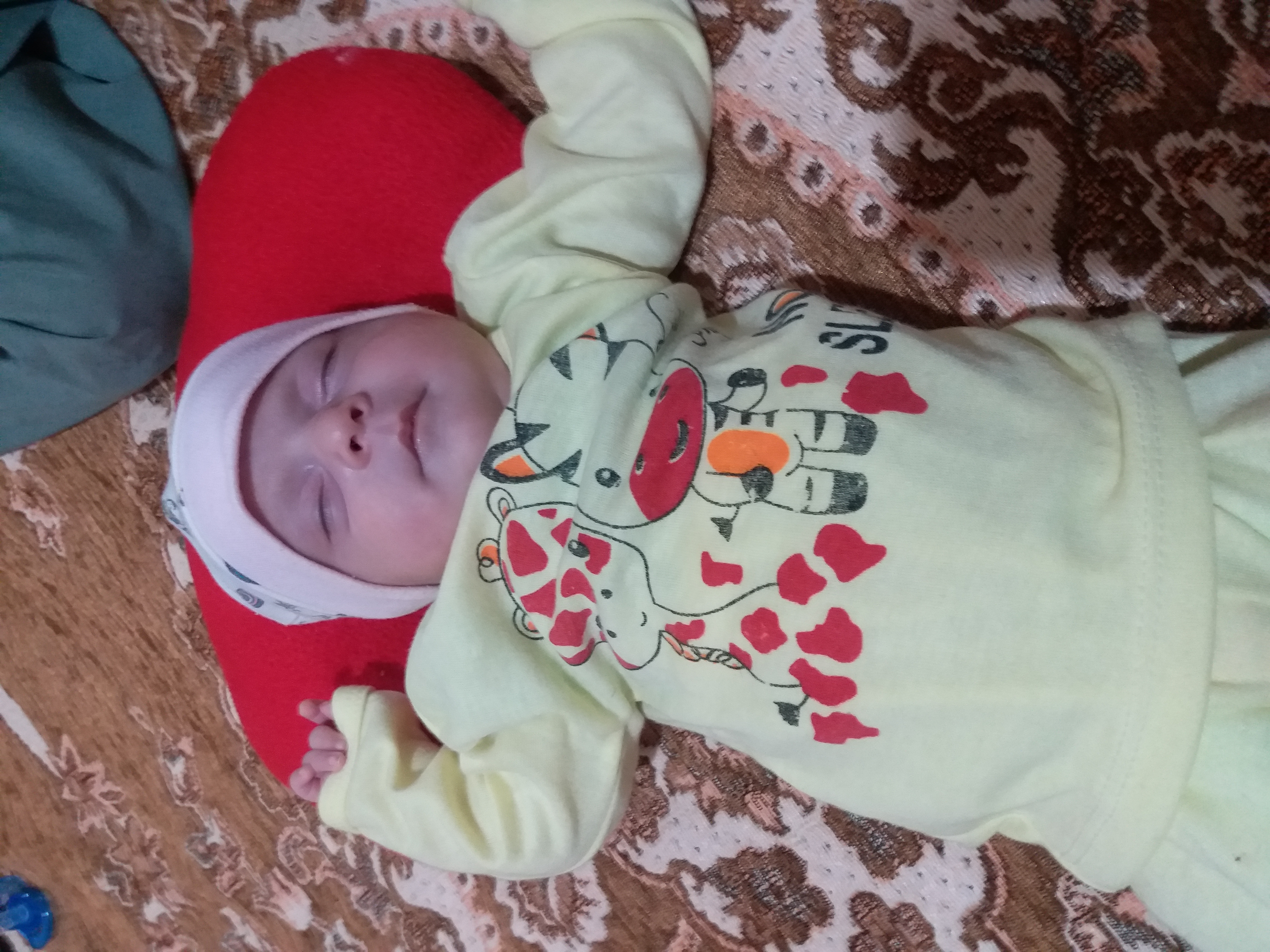 آویسا پایابیده براهویی